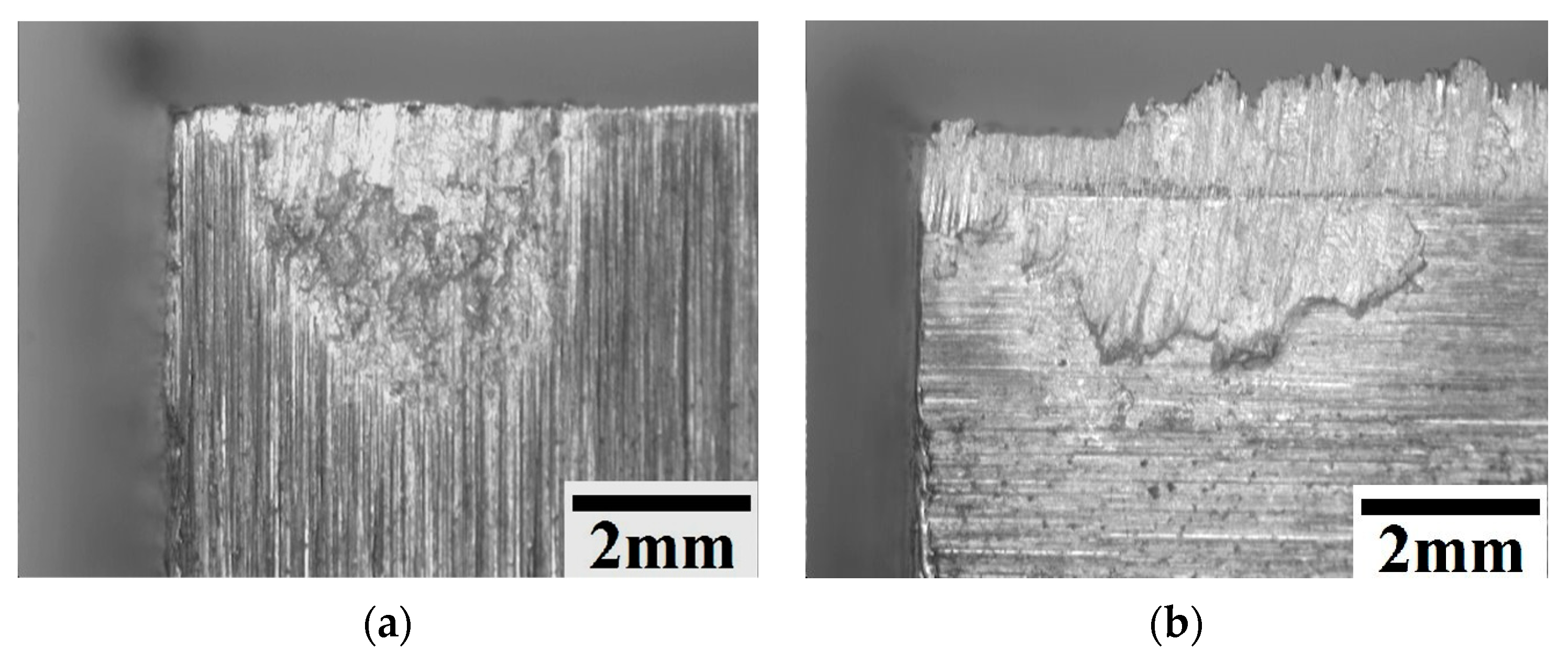 Coatings 14 00167 g007