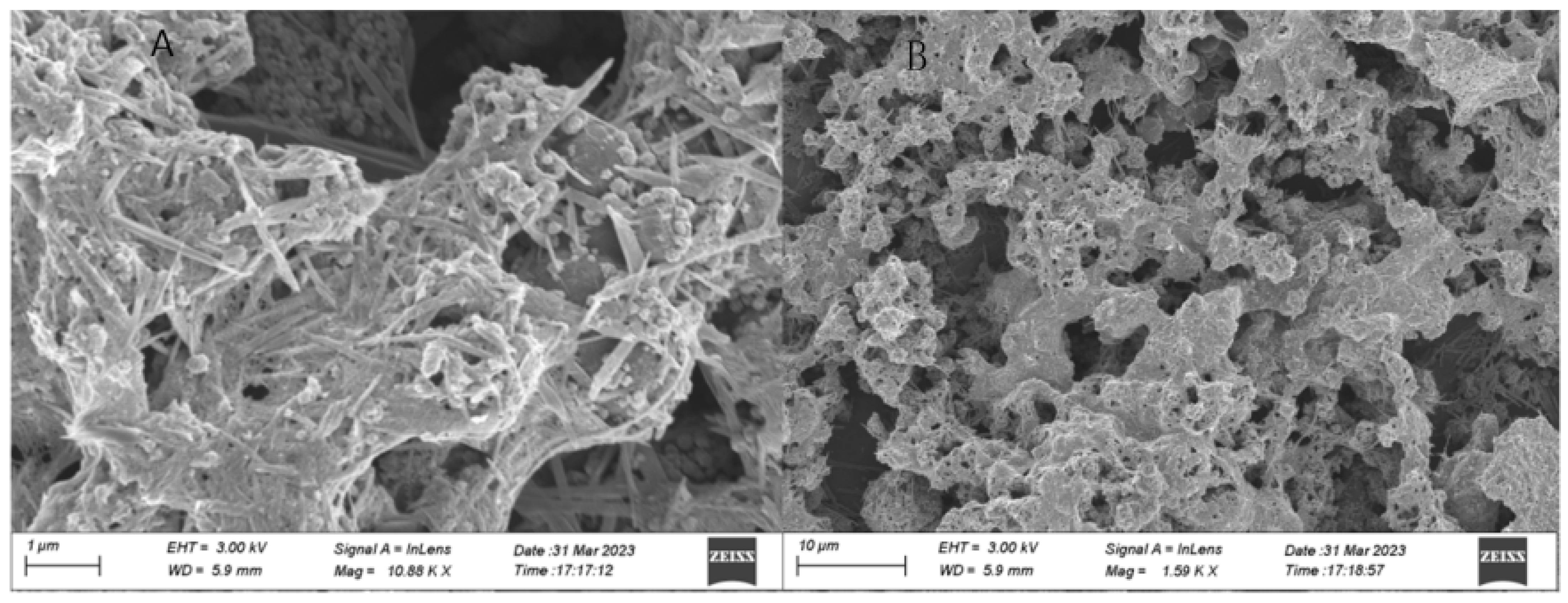 Coatings 14 00171 g002