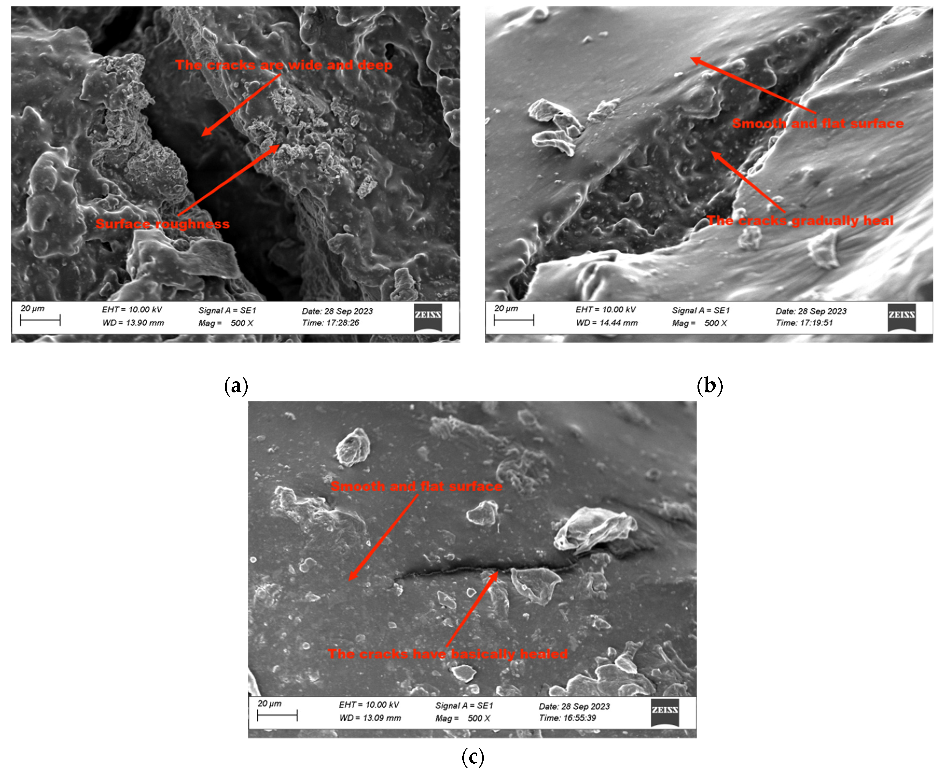 Coatings 14 00175 g012