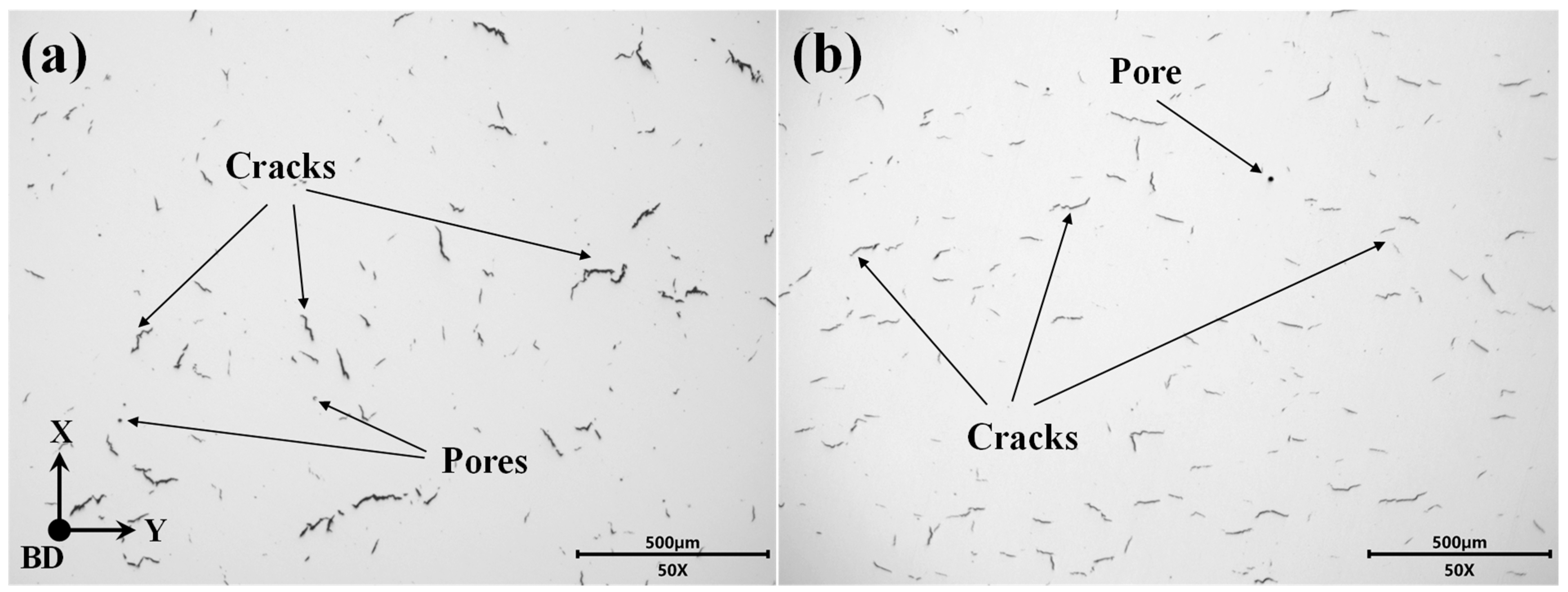 Coatings 14 00177 g006