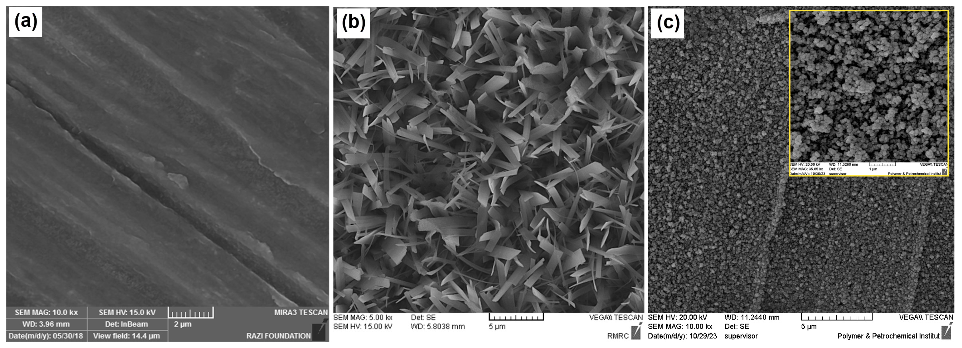 Coatings 14 00179 g002 Coatings 14 00179 g002