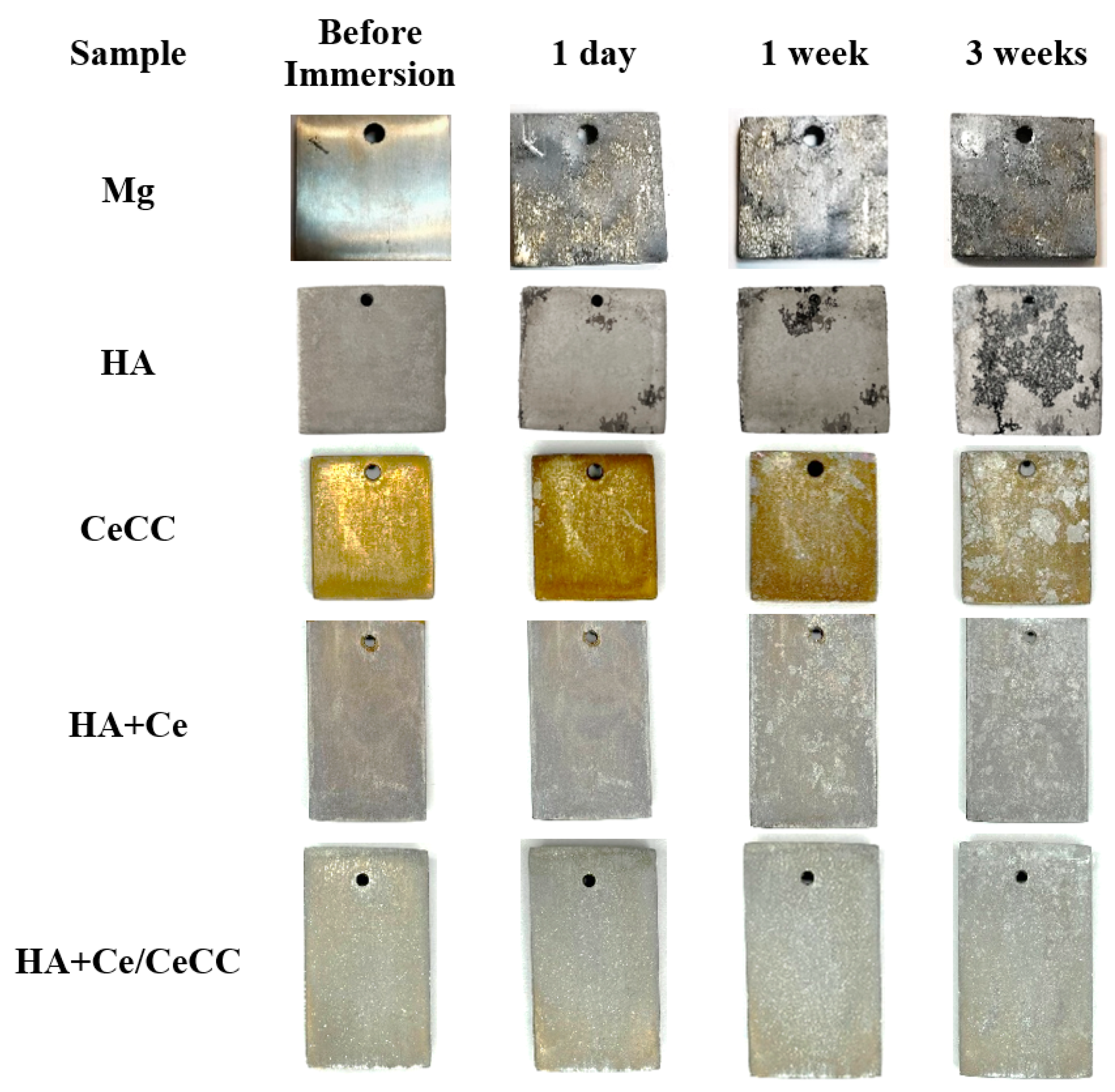 Coatings 14 00179 g009 Coatings 14 00179 g009