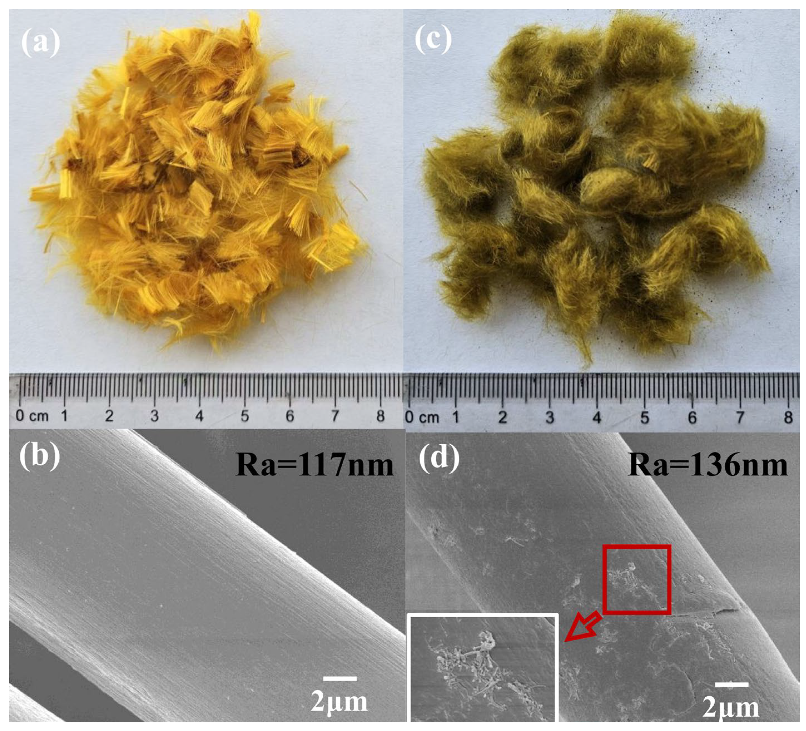 Coatings 14 00181 g001
