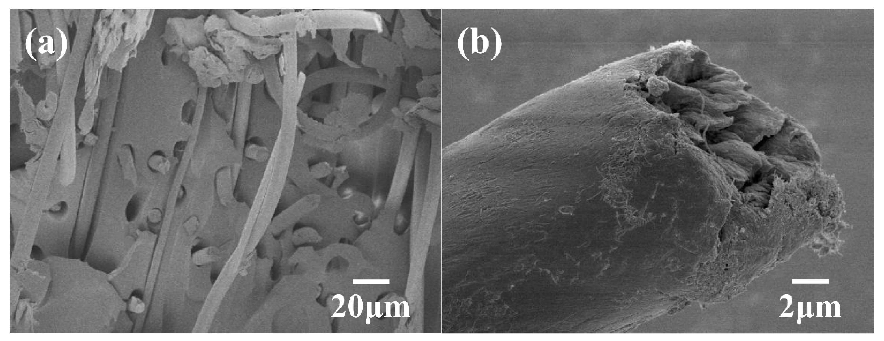 Coatings 14 00181 g002