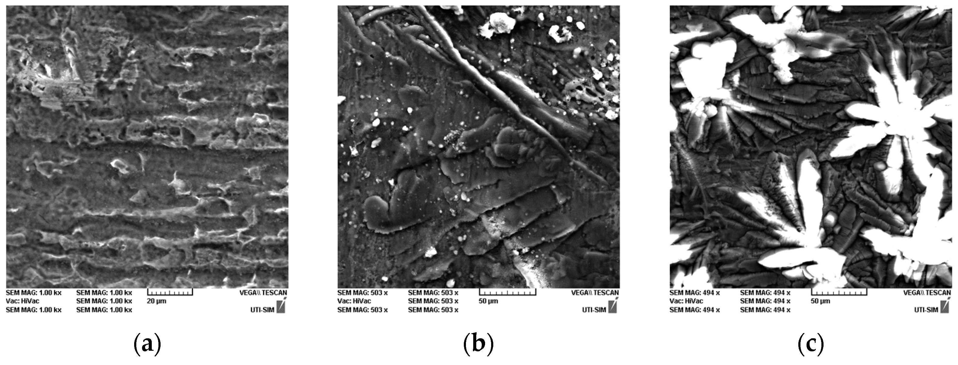 Coatings 14 00182 g002