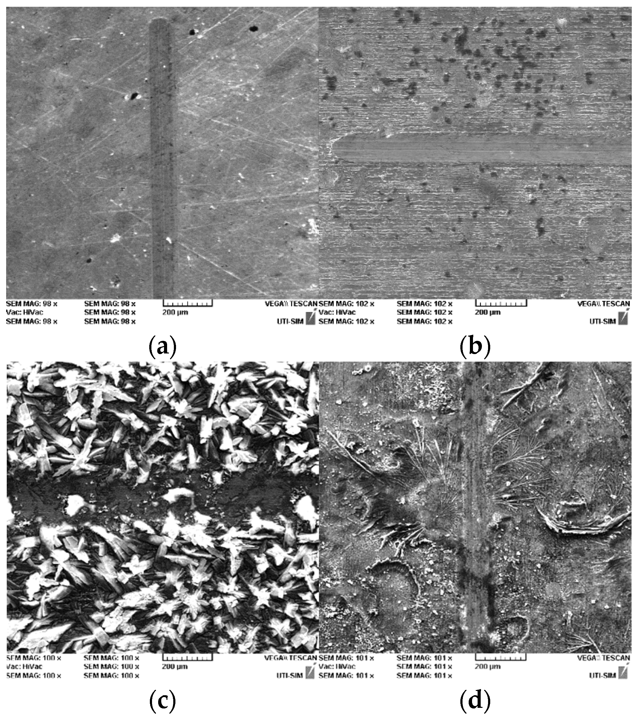Coatings 14 00182 g007