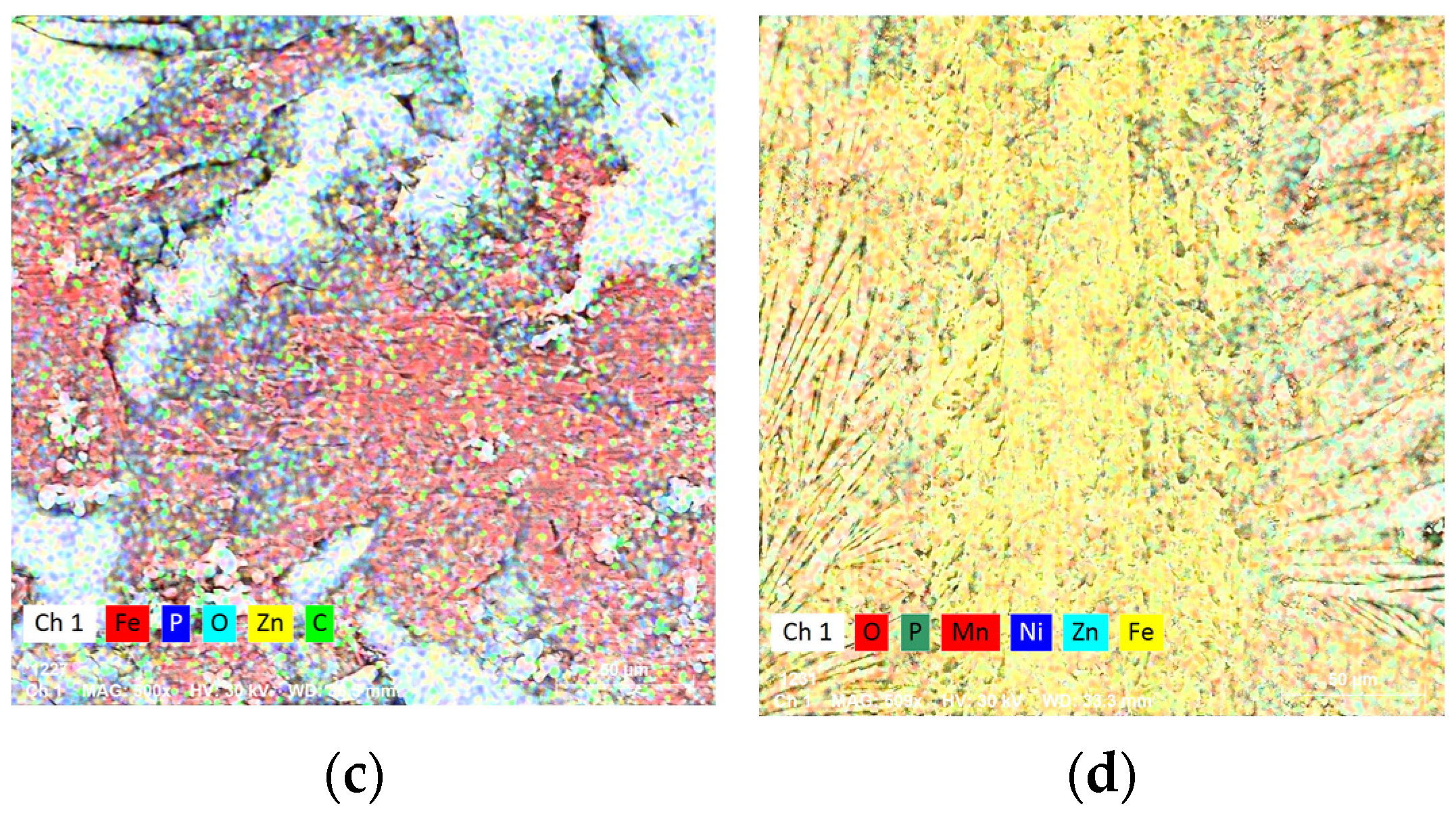 Coatings 14 00182 g008b