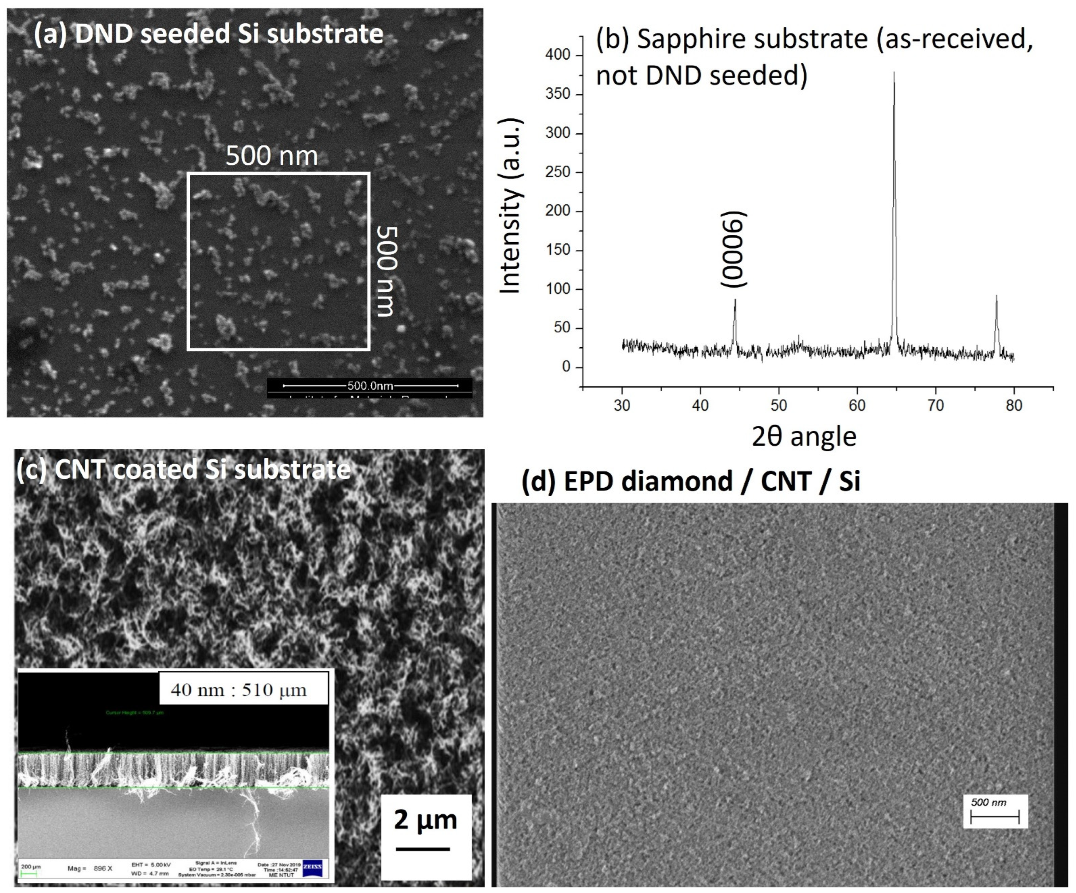 Coatings 14 00184 g001
