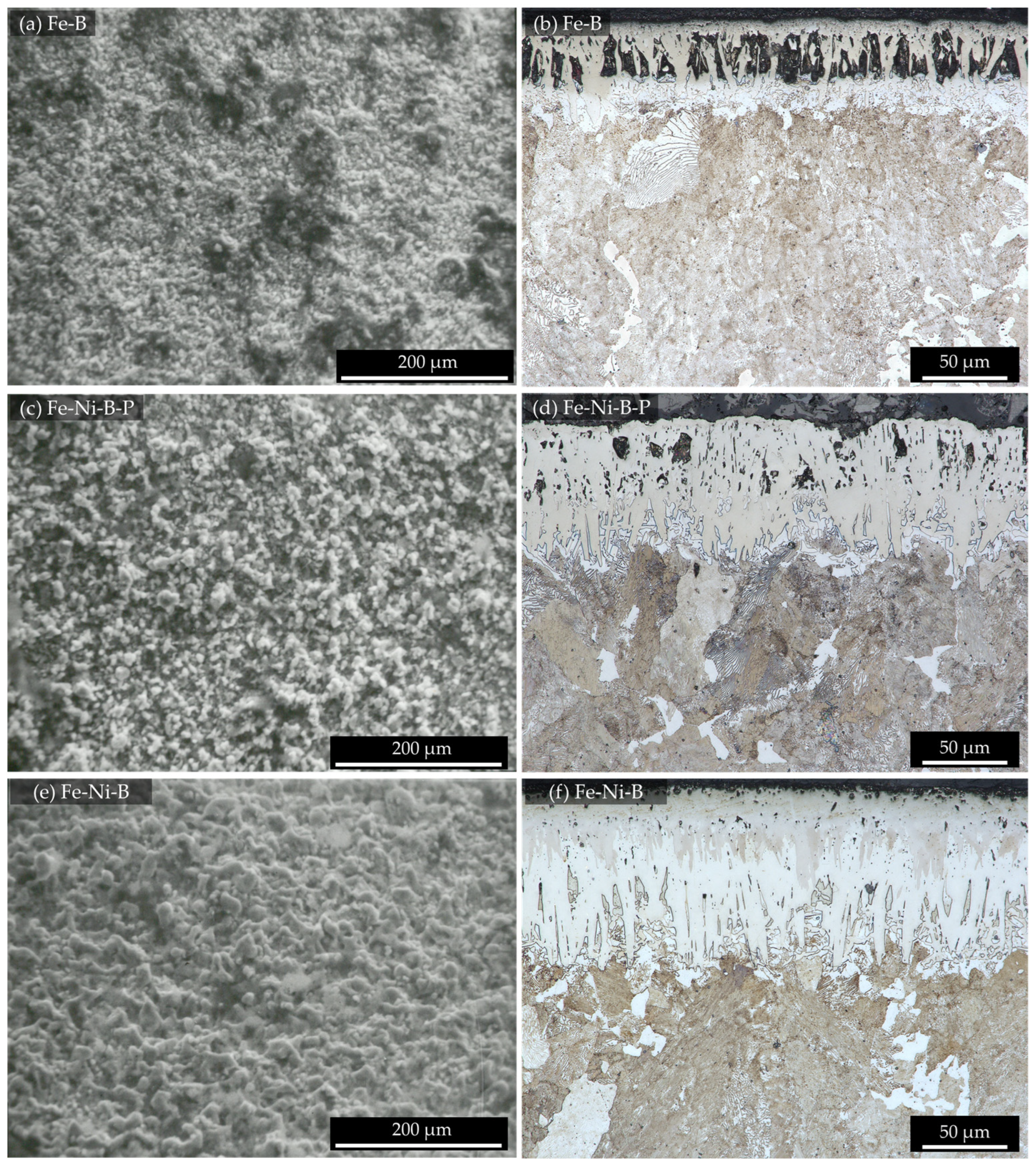 Coatings 14 00197 g001 Coatings 14 00197 g001