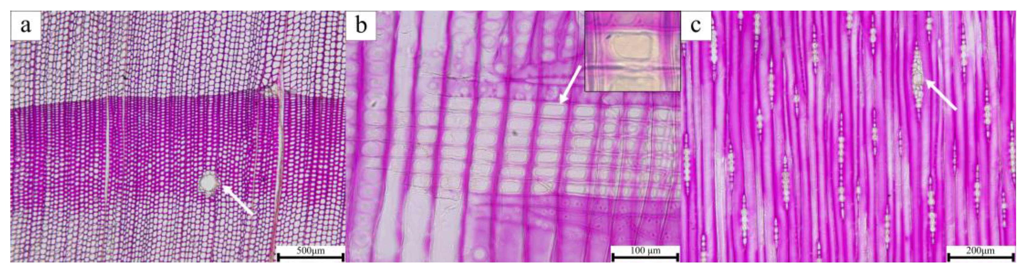 Coatings 14 00200 g004
