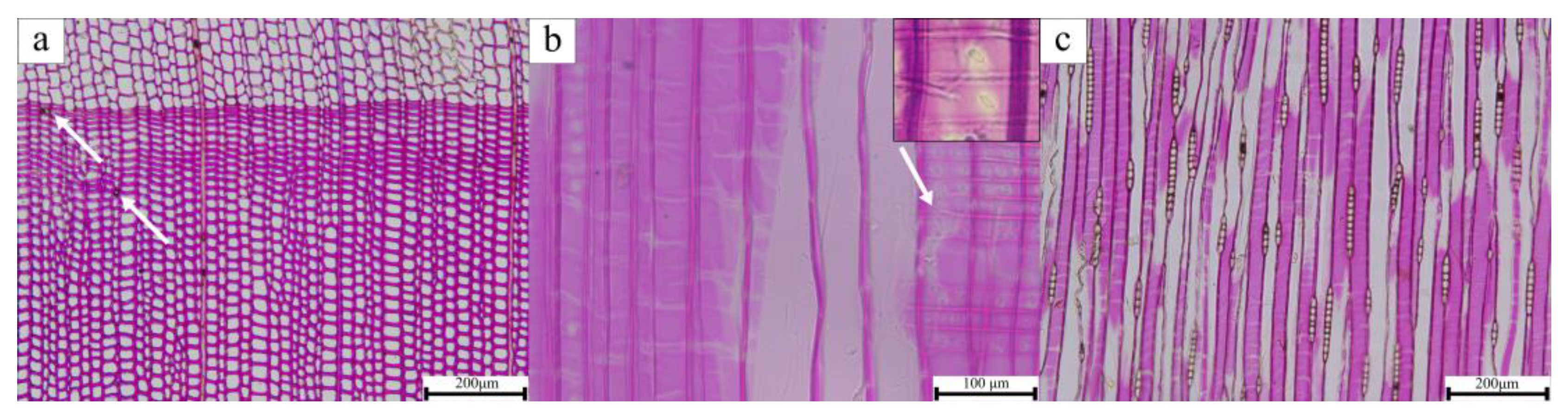 Coatings 14 00200 g005