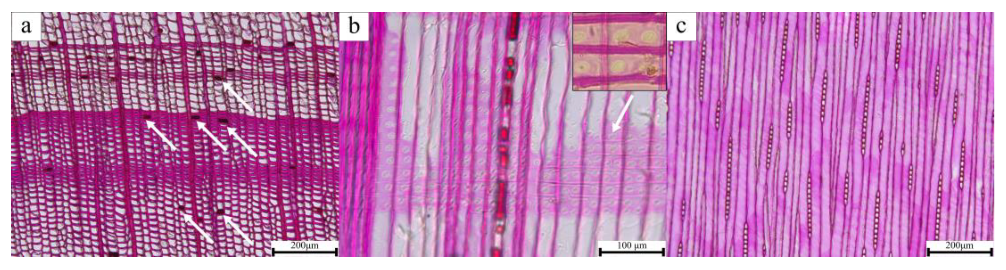 Coatings 14 00200 g006
