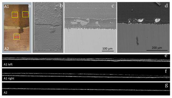 Coatings 14 00212 g002