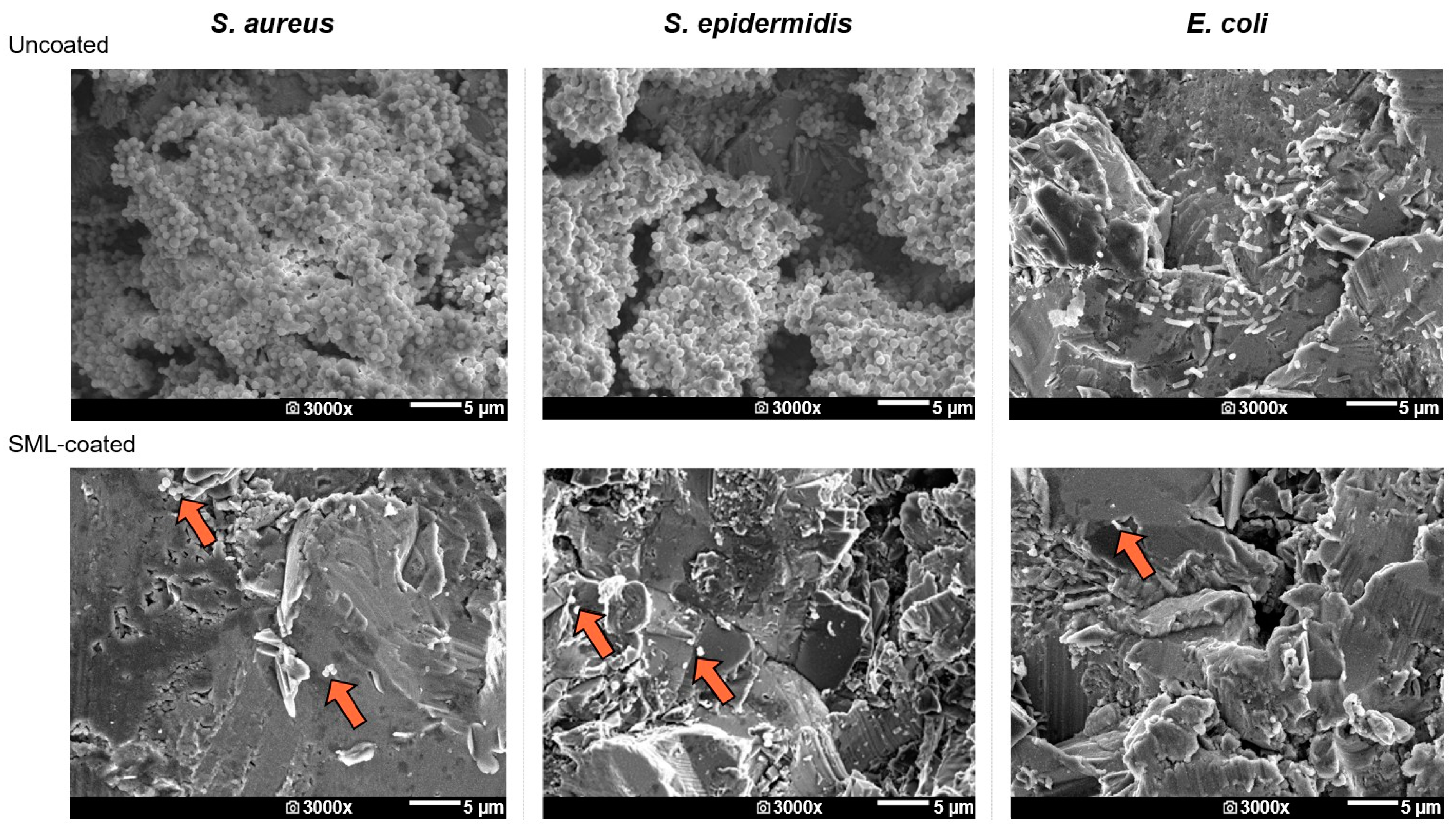 Coatings 14 00216 g006 Coatings 14 00216 g006