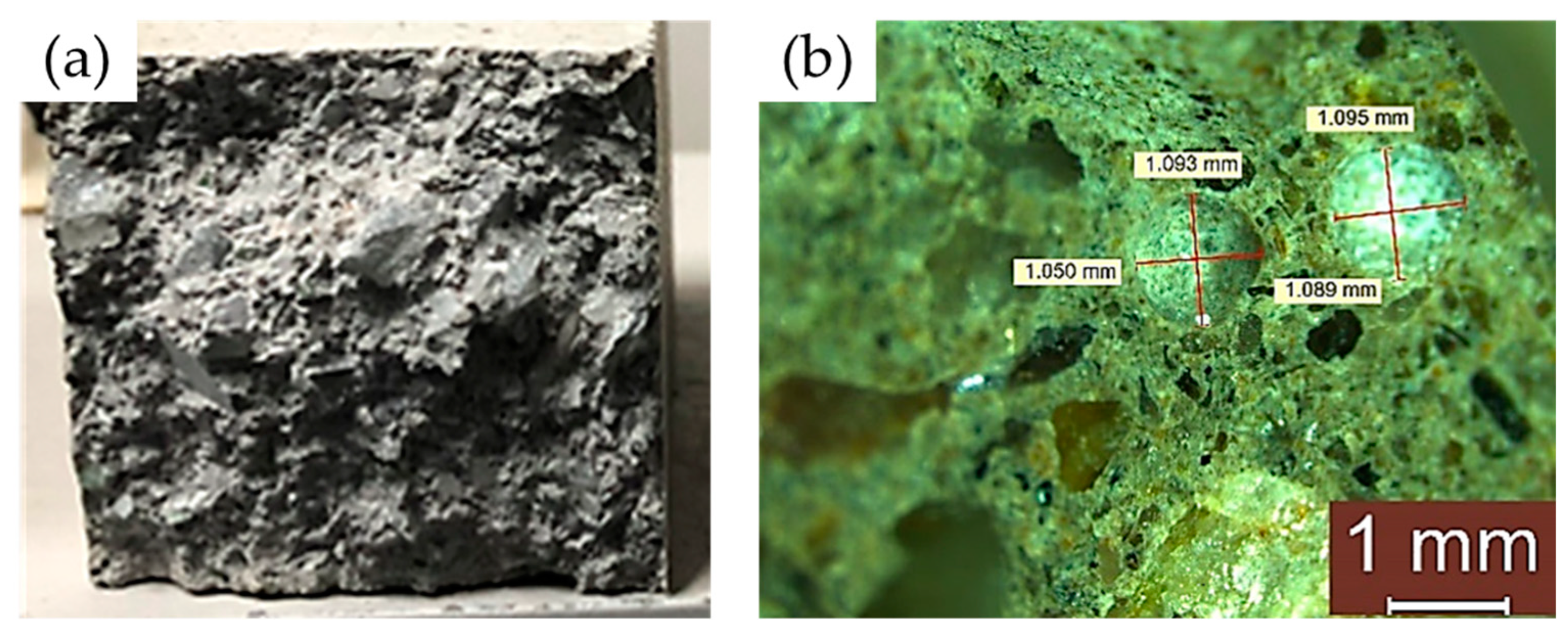 Coatings 14 00218 g004