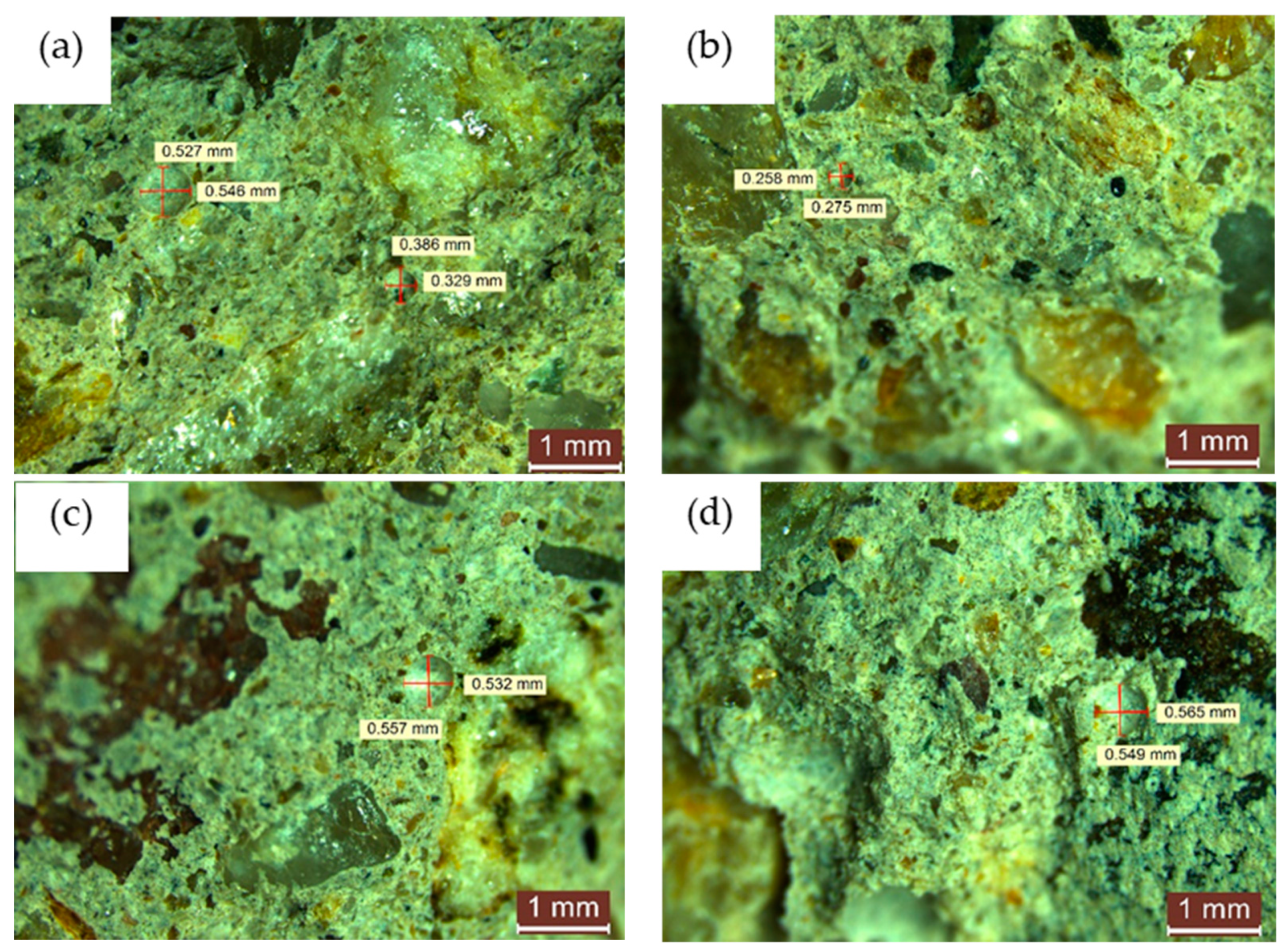 Coatings 14 00218 g005