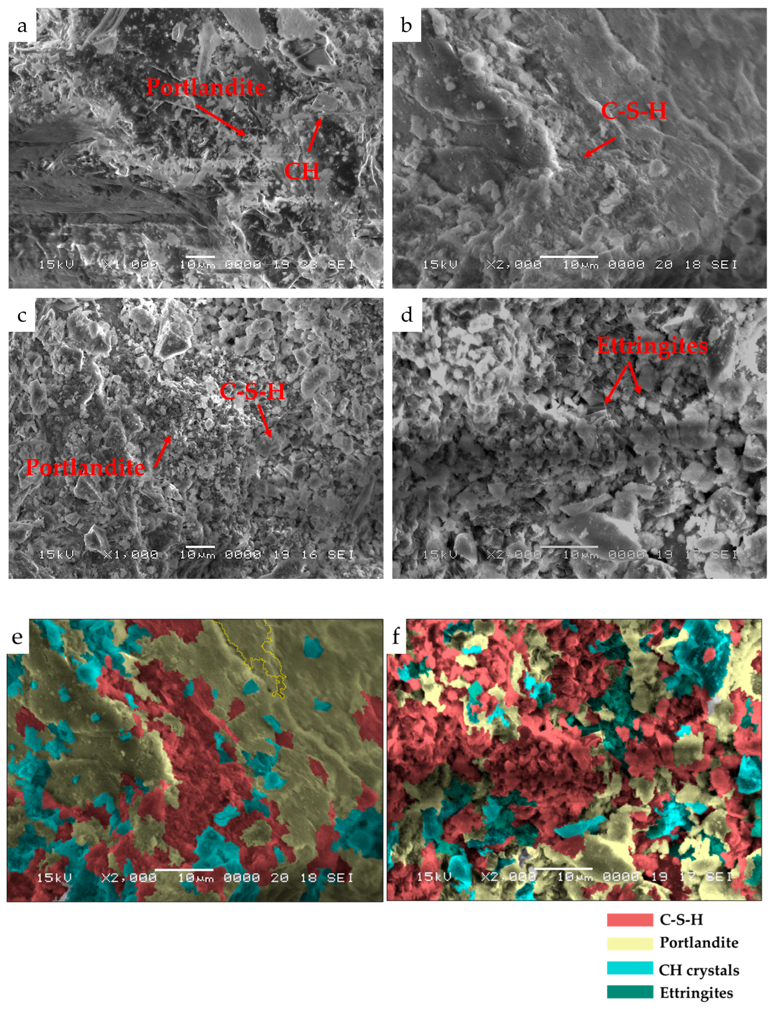 Coatings 14 00218 g008