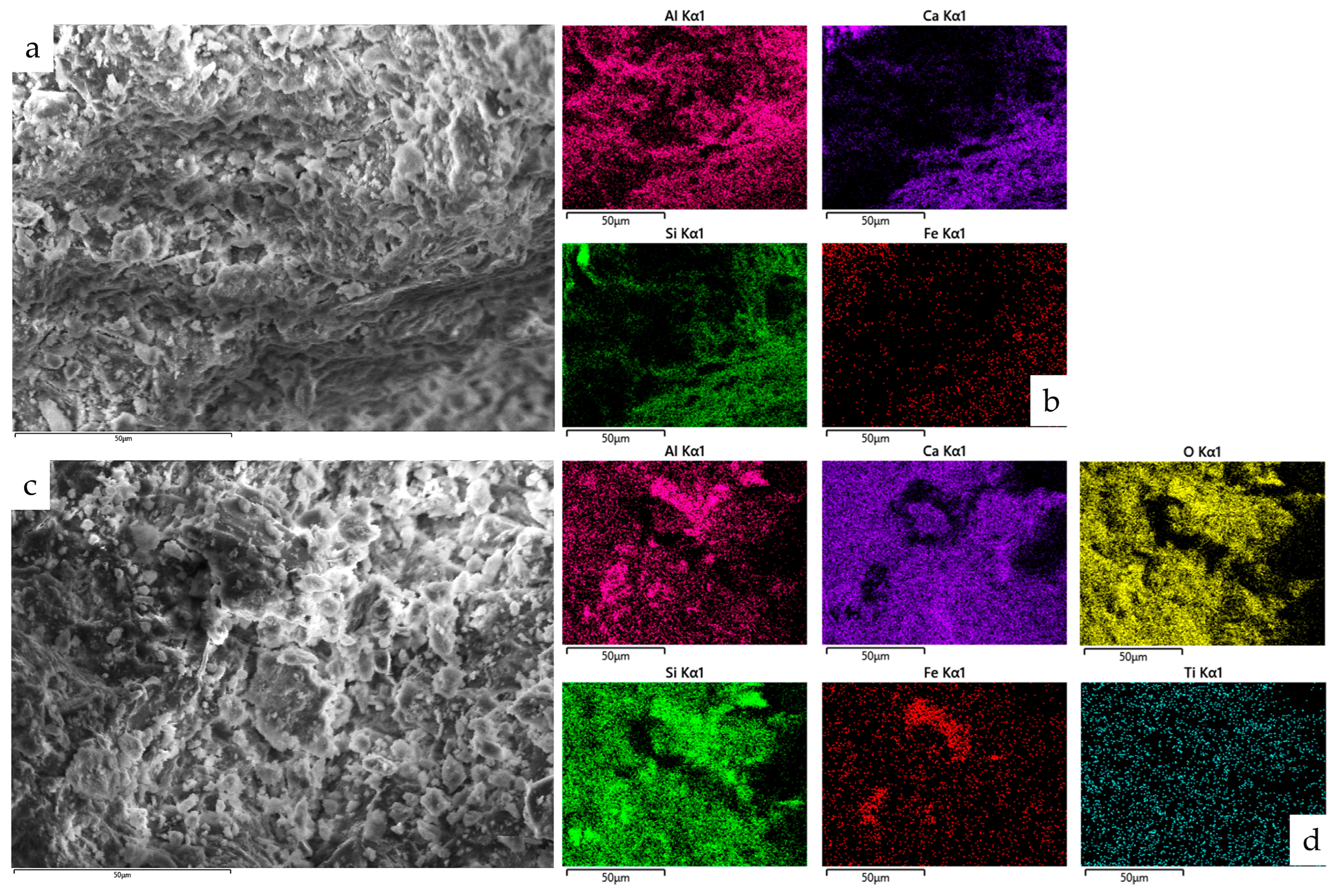 Coatings 14 00218 g009
