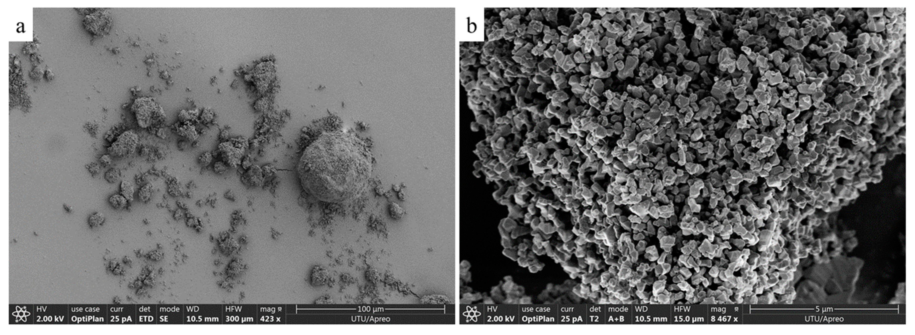 Coatings 14 00224 g001