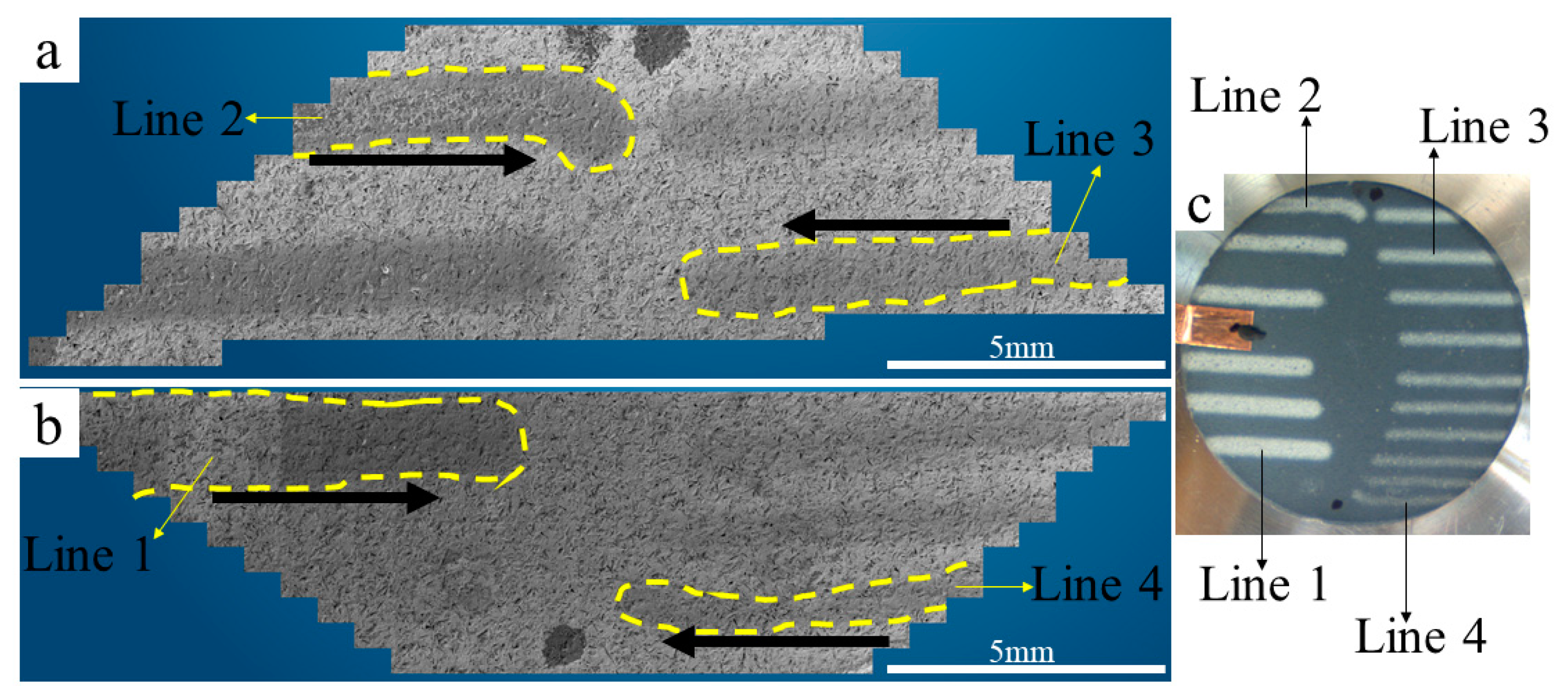 Coatings 14 00224 g002