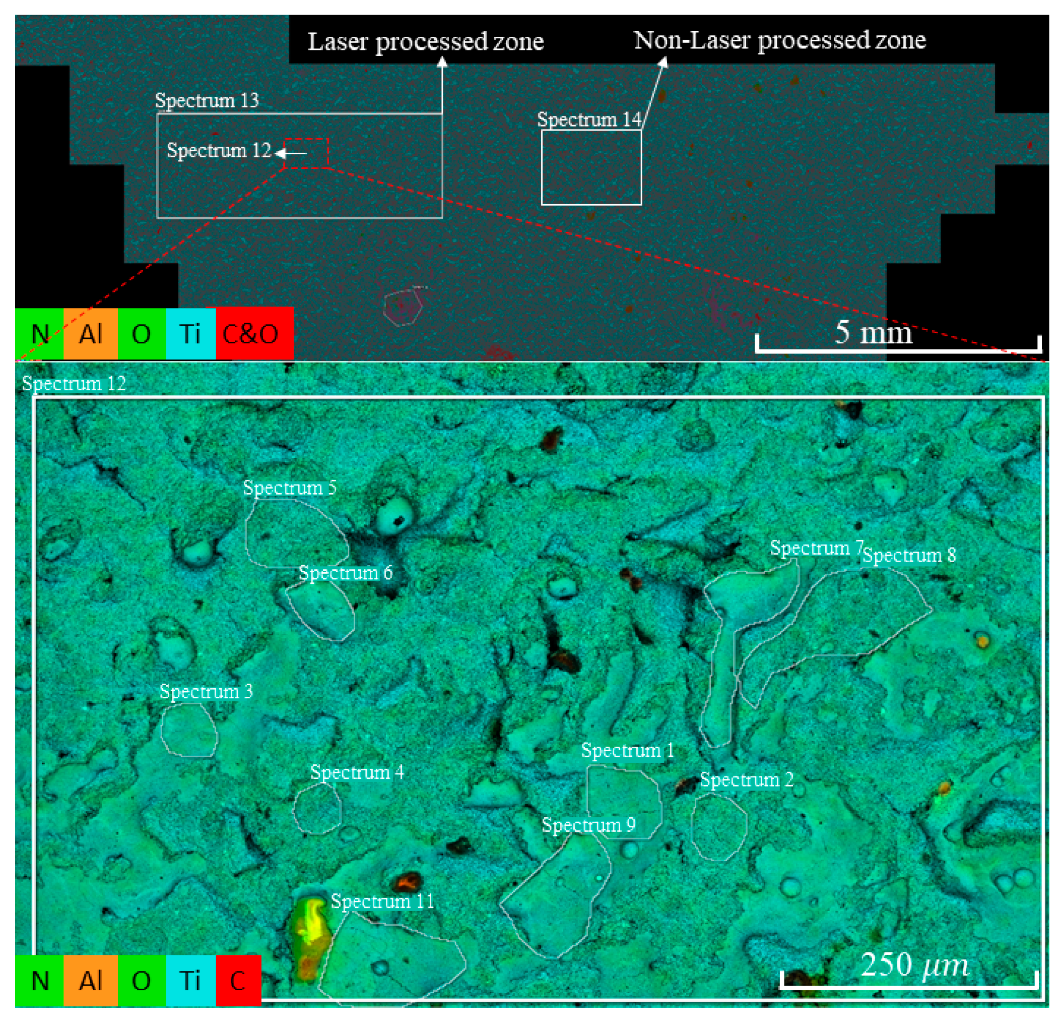 Coatings 14 00224 g008