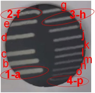 Coatings 14 00224 i001