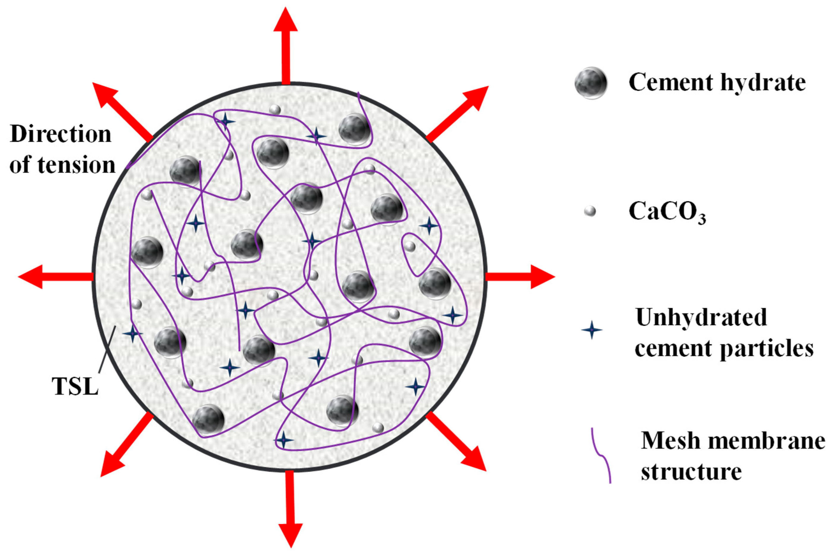 Coatings 14 00232 g022