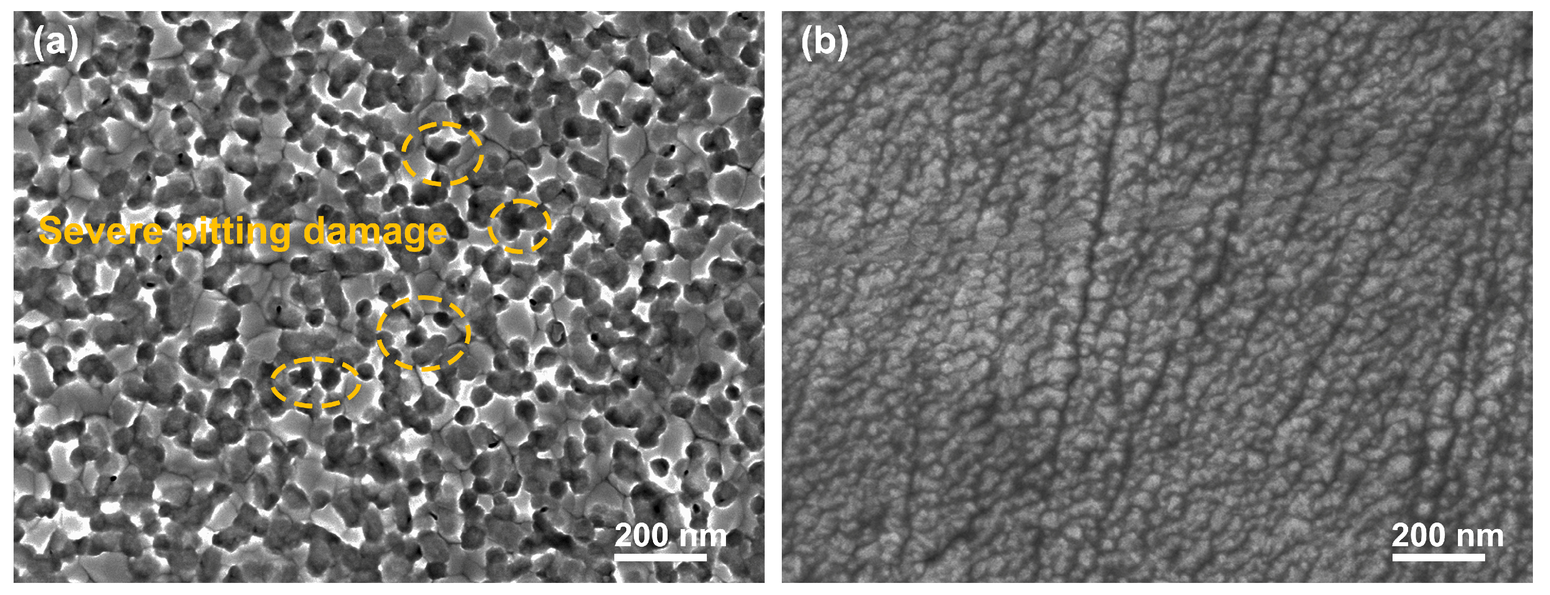 Coatings 14 00238 g011