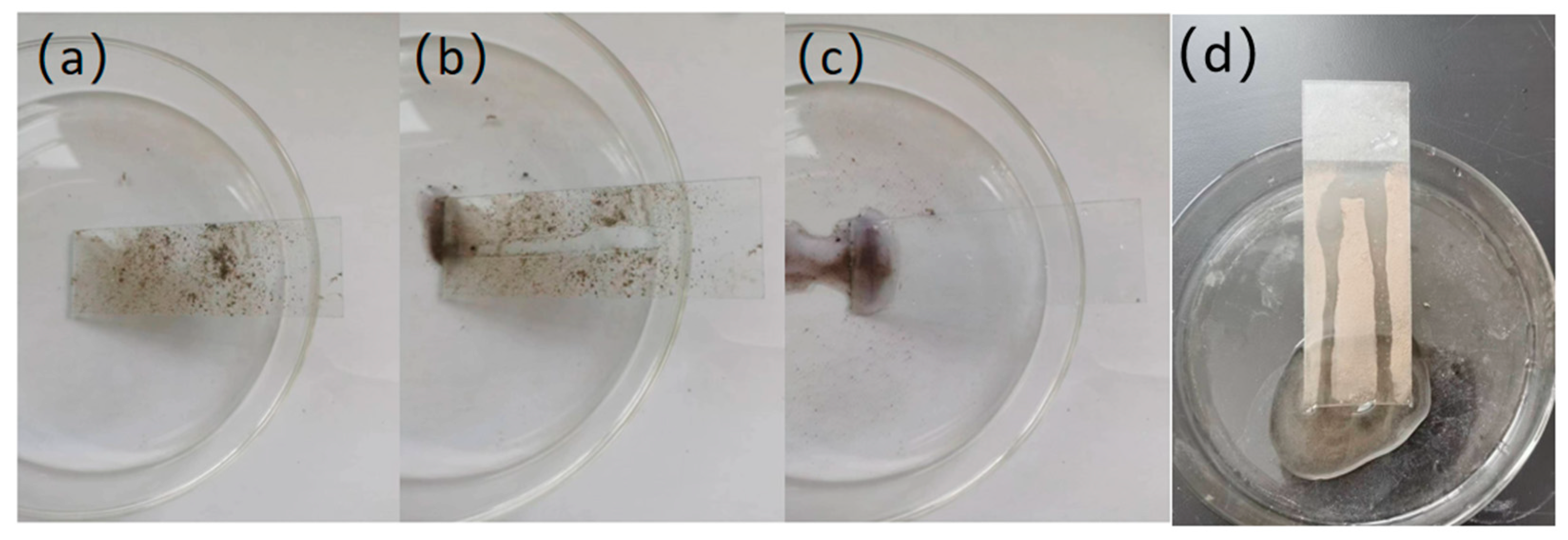 Coatings 14 00239 g010