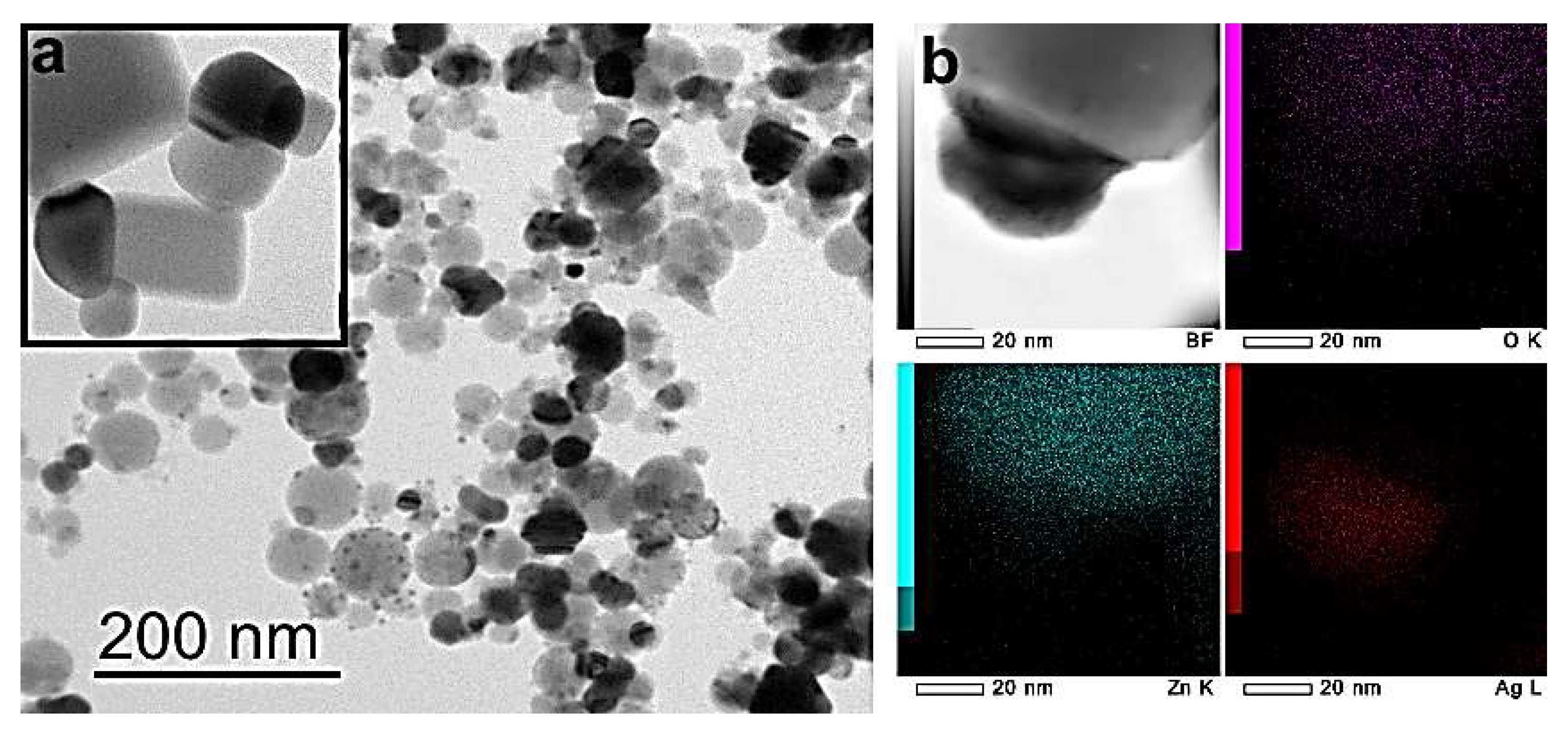 Coatings 14 00241 g003 Coatings 14 00241 g003