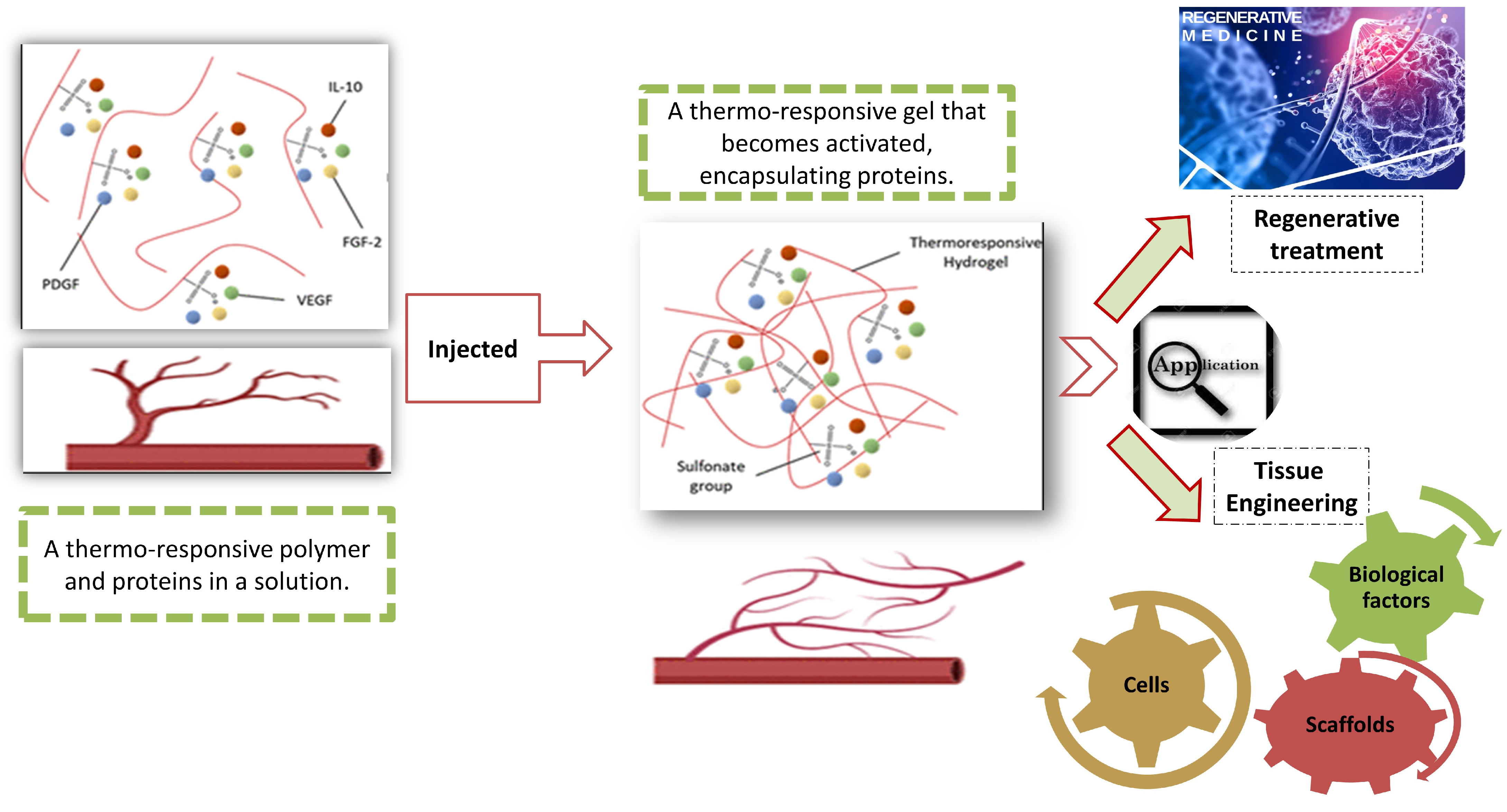 Coatings 14 00243 g006