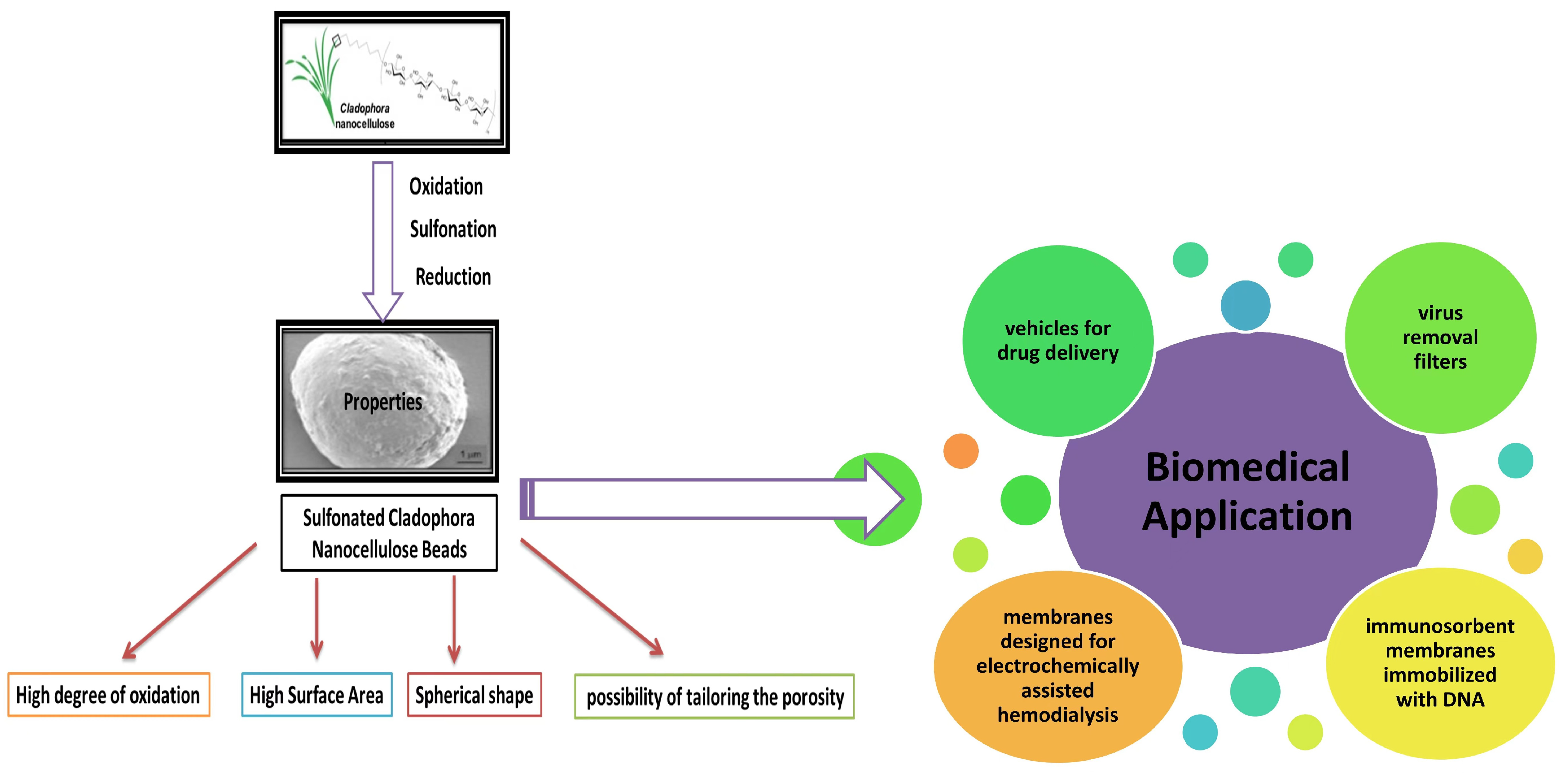 Coatings 14 00243 g007