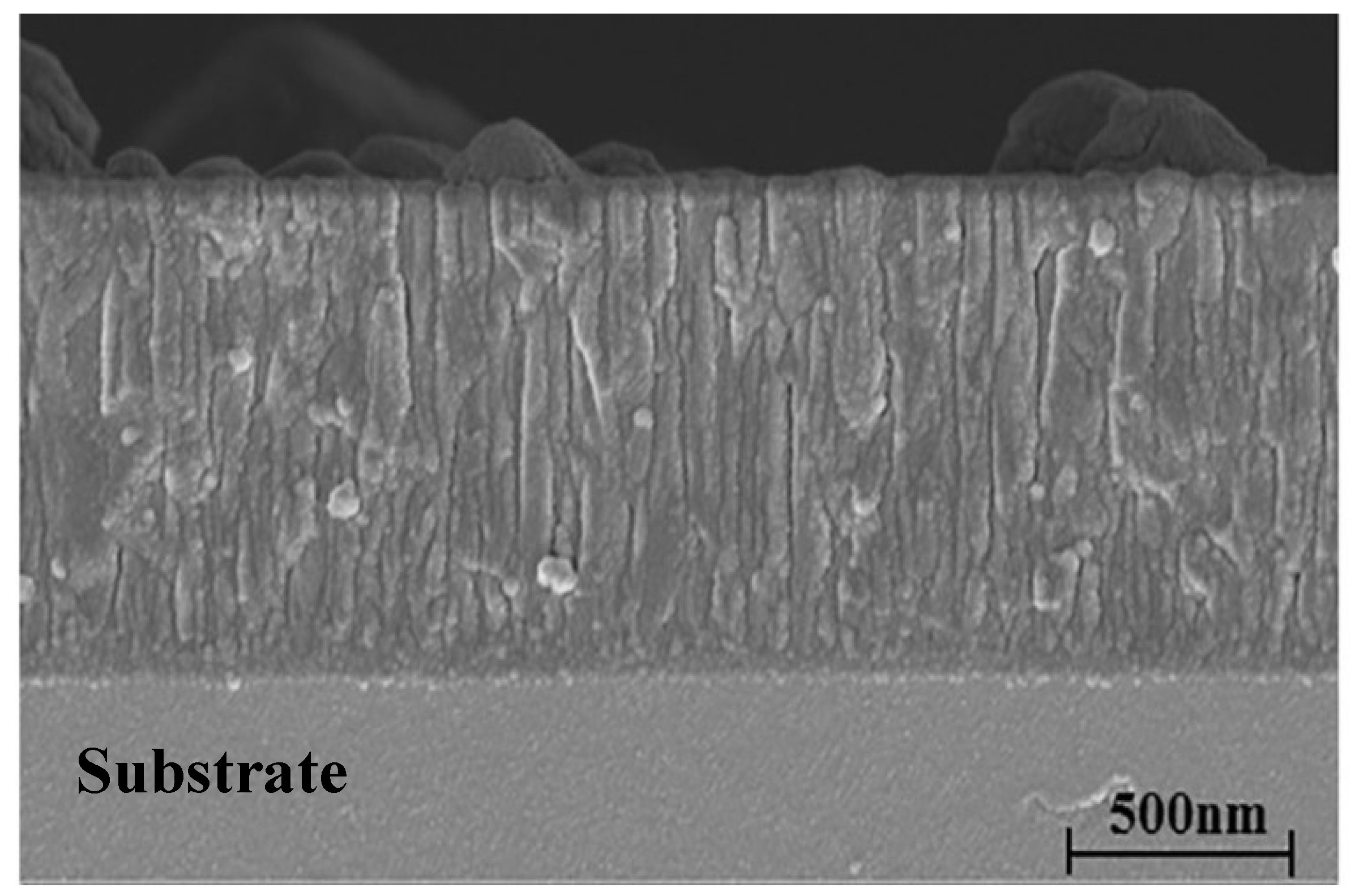 Coatings 14 00246 g007