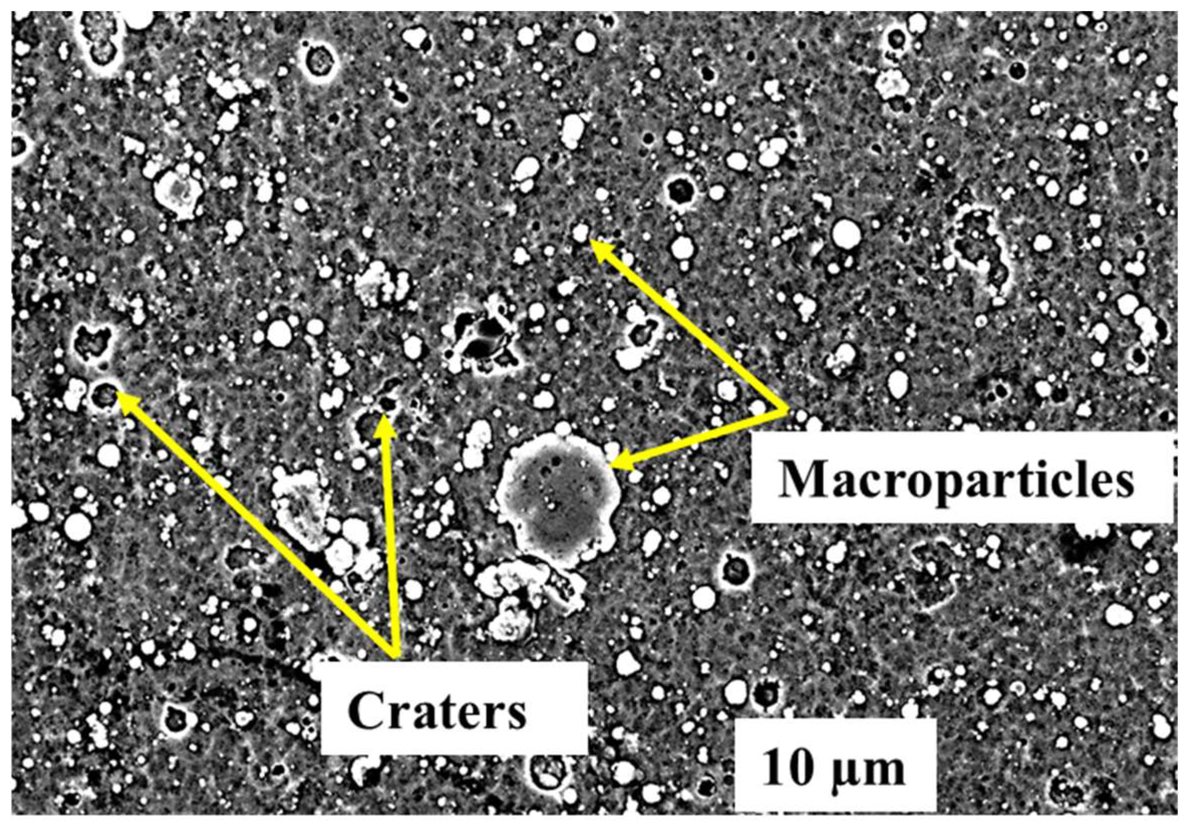 Coatings 14 00246 g009