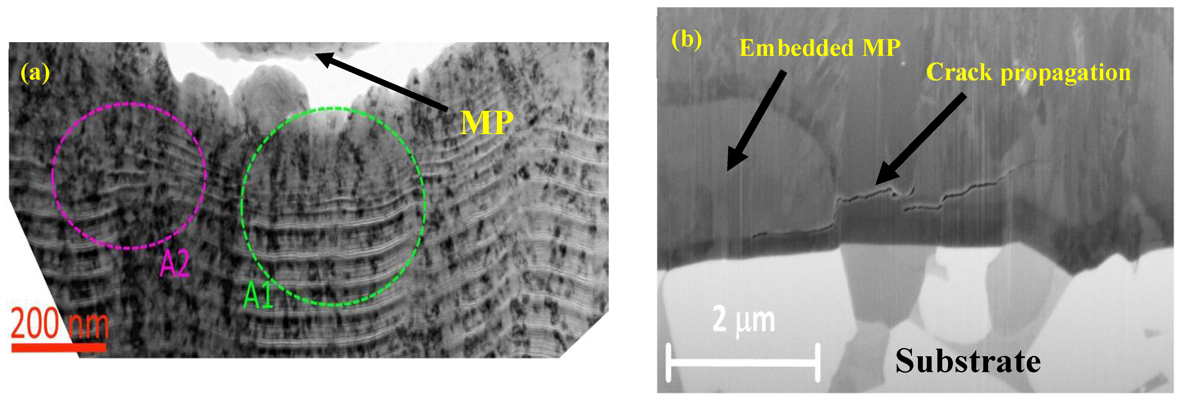 Coatings 14 00246 g010