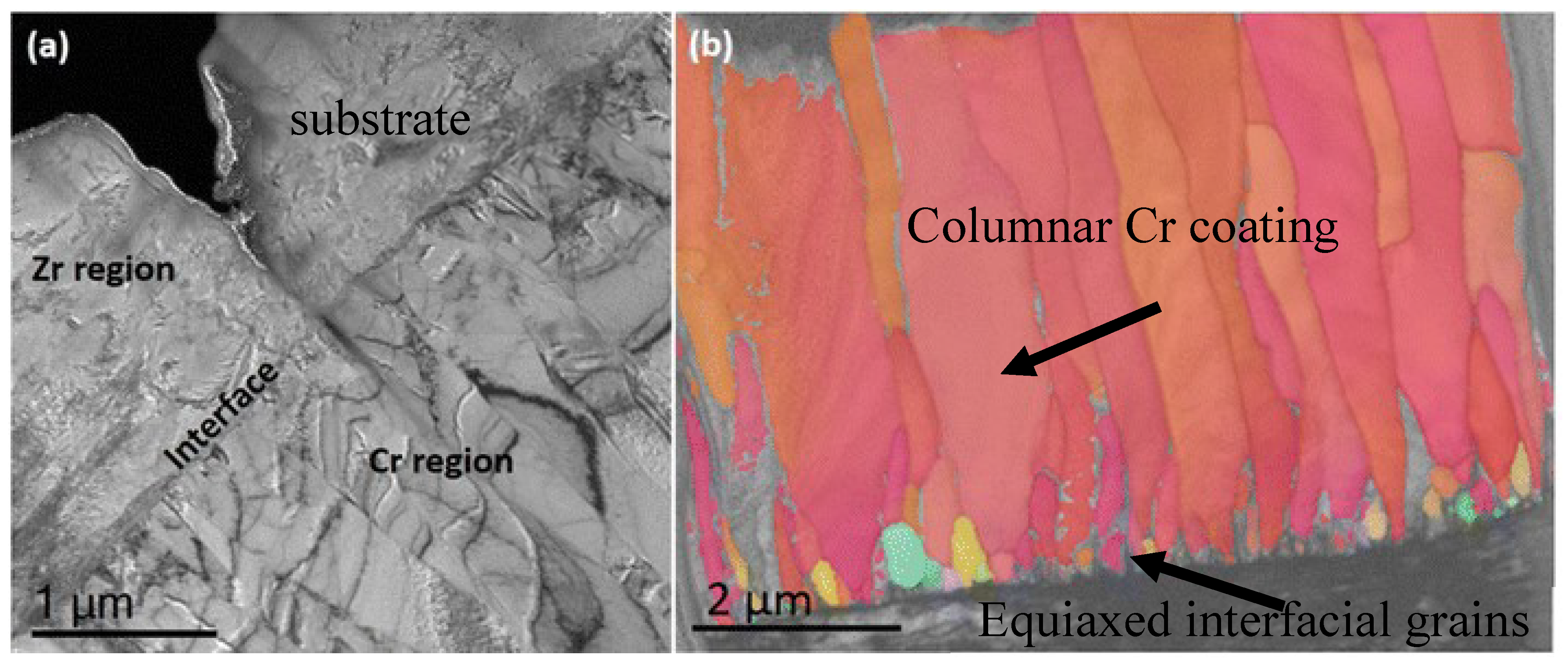 Coatings 14 00246 g014