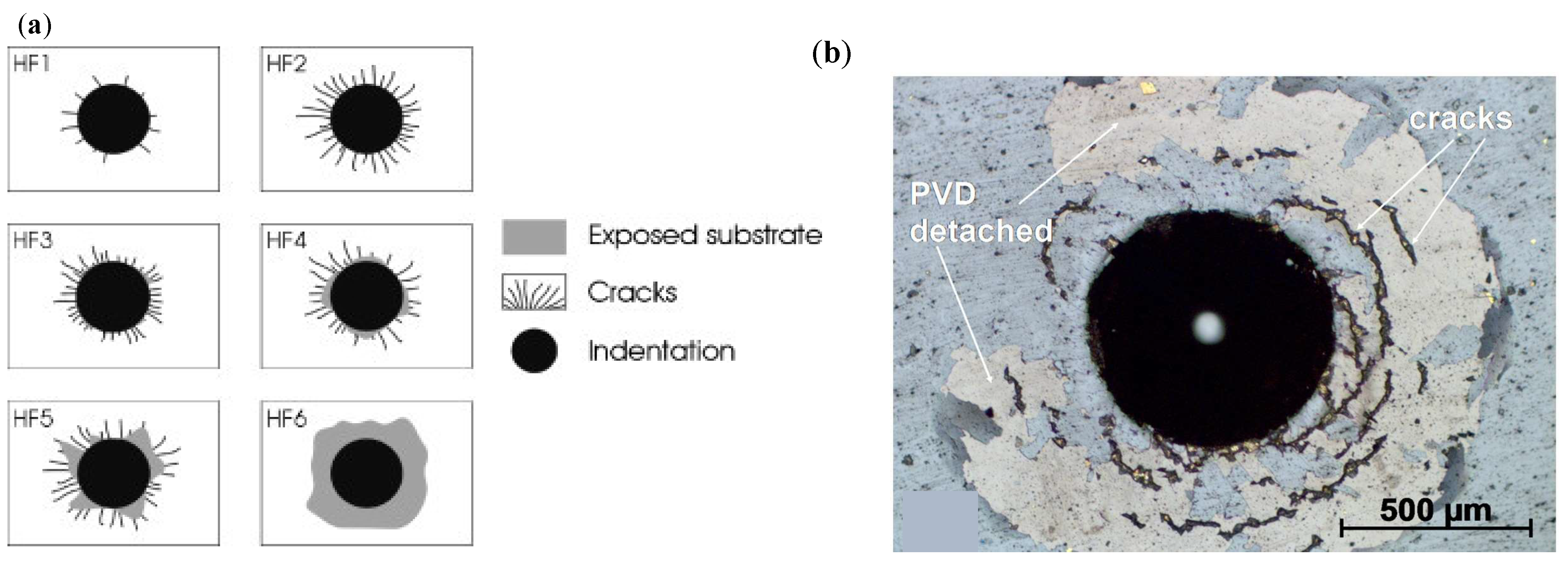 Coatings 14 00246 g017