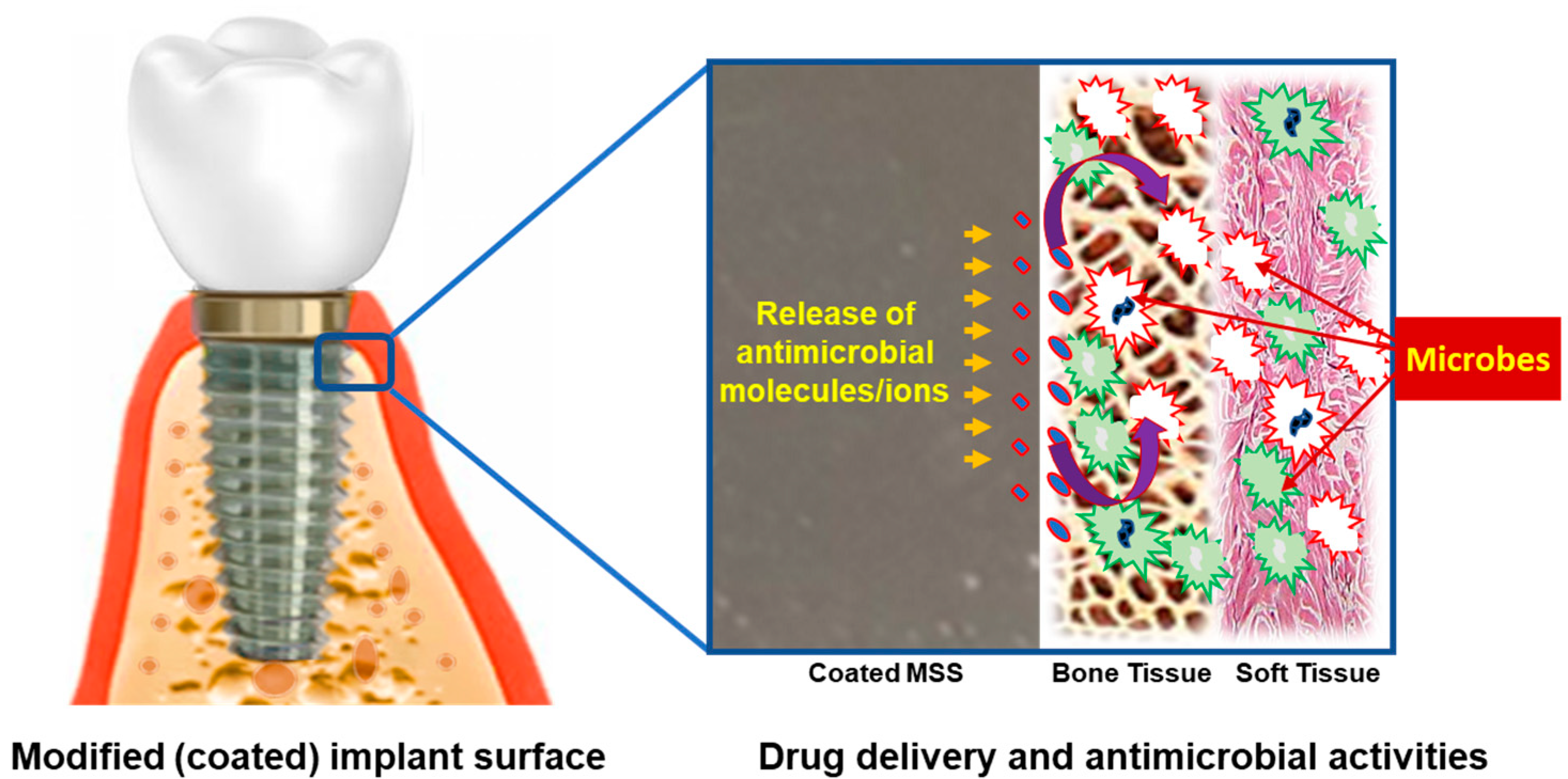 Coatings 14 00248 g002