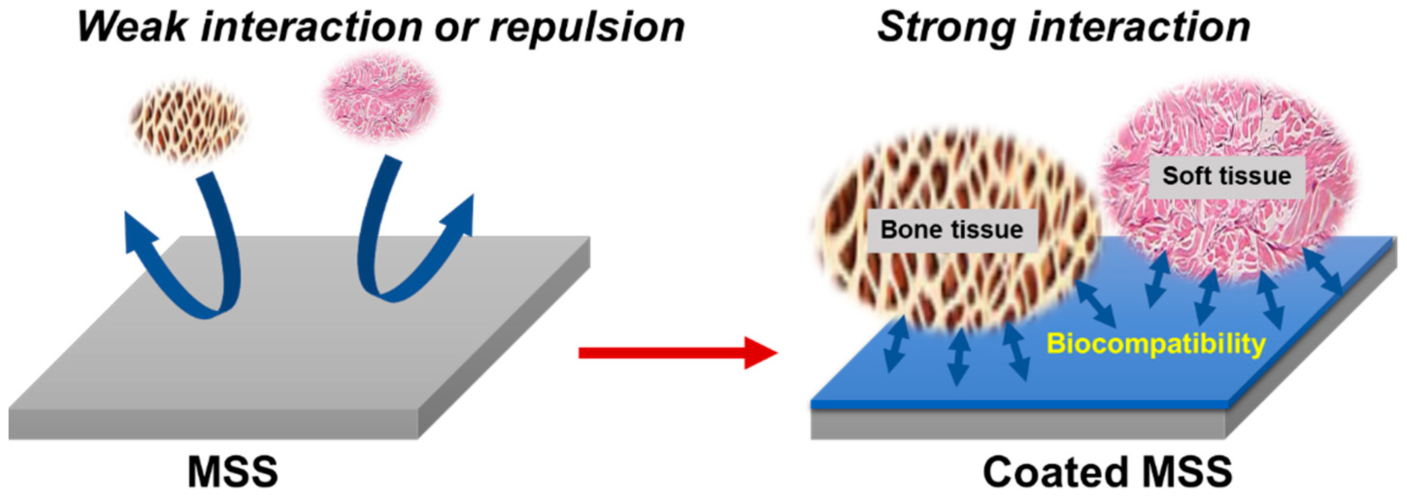 Coatings 14 00248 g003