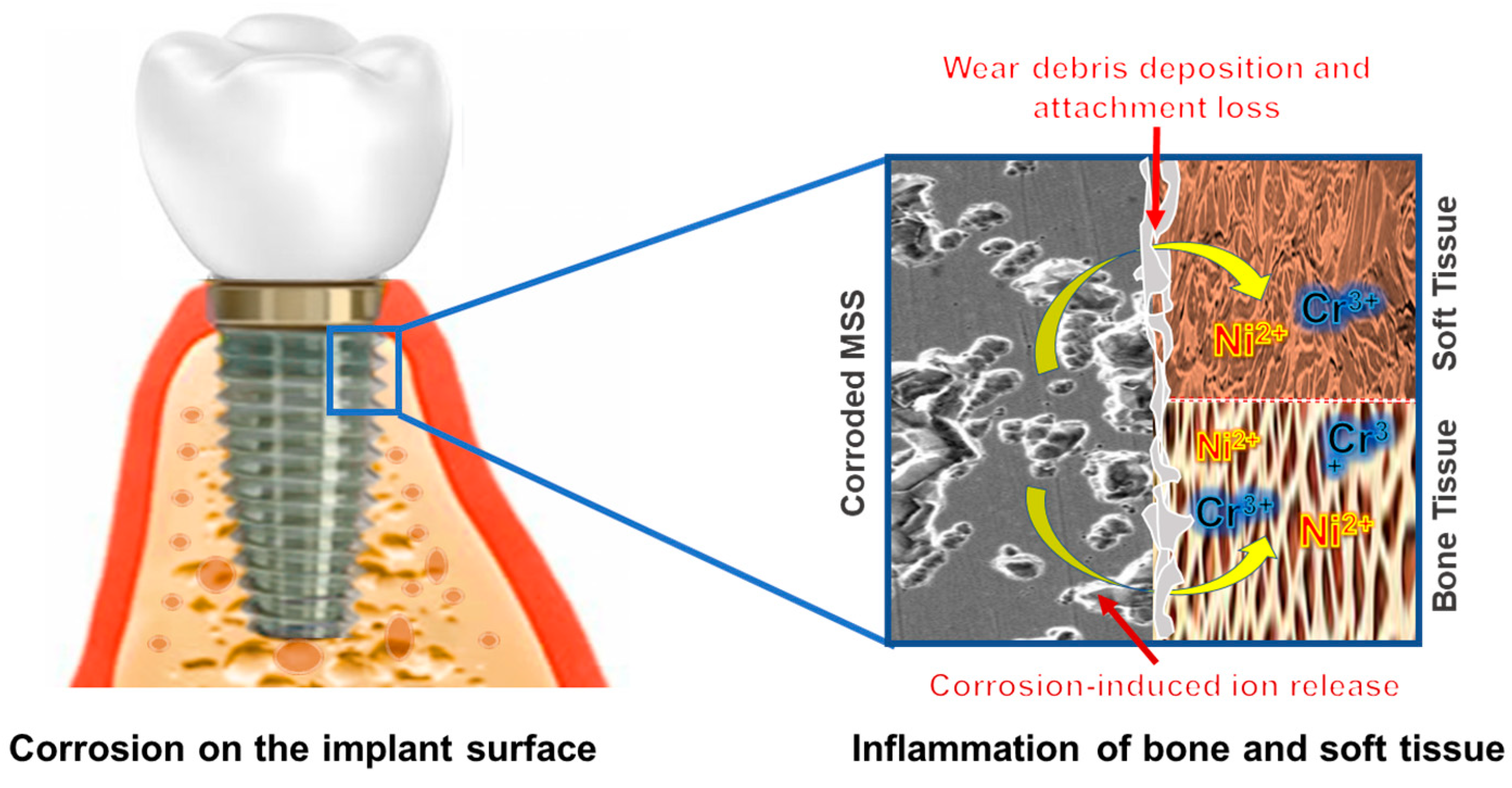 Coatings 14 00248 g004