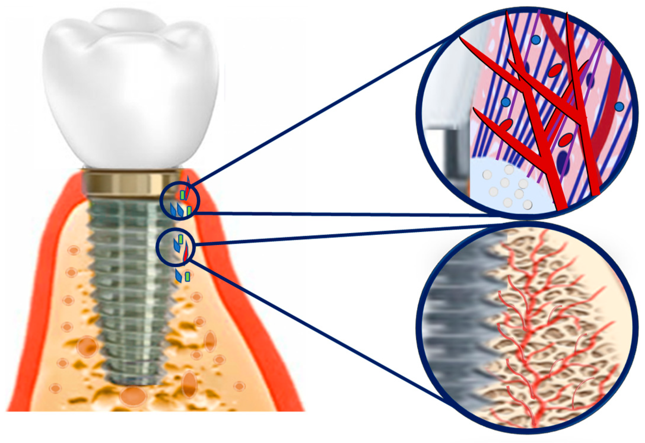 Coatings 14 00248 g005