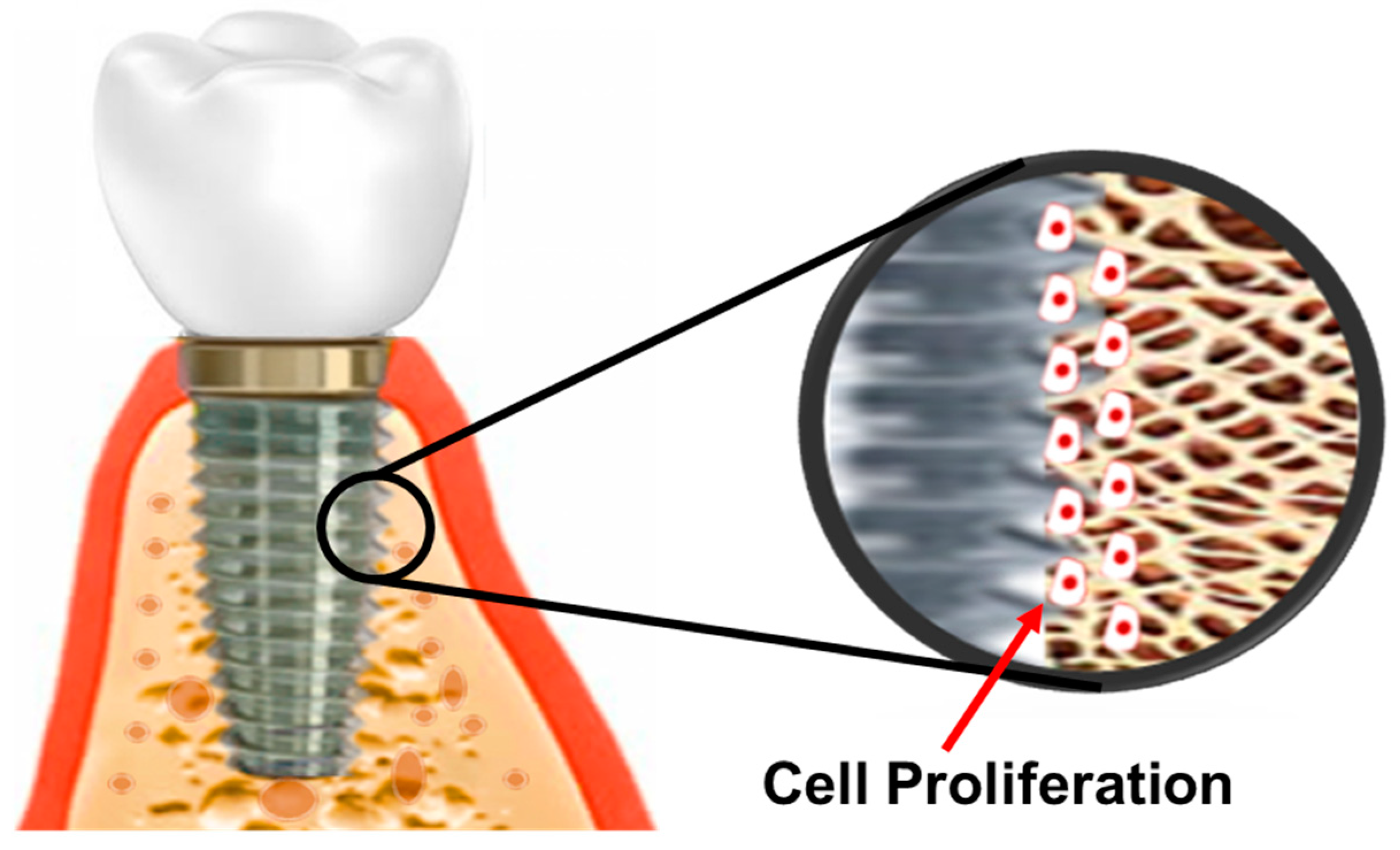 Coatings 14 00248 g007
