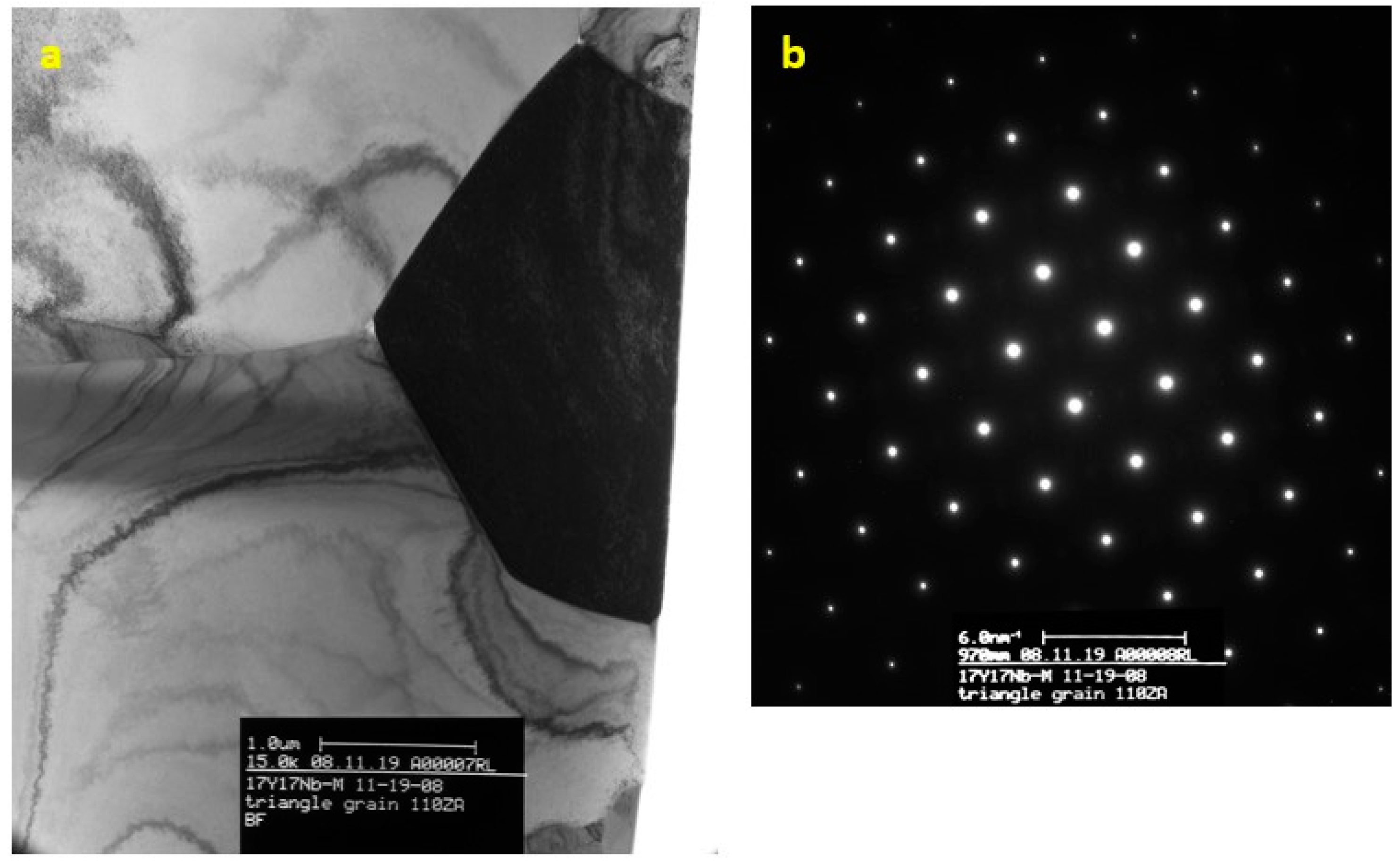 Coatings 14 00249 g005