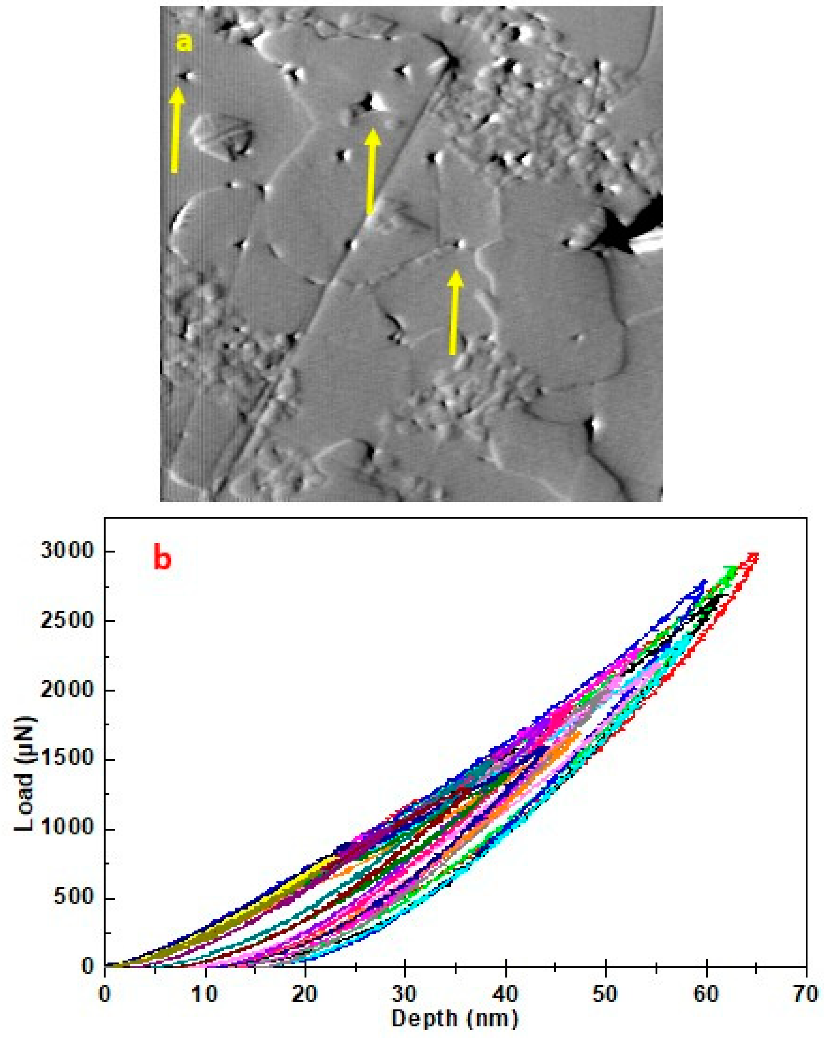 Coatings 14 00249 g009