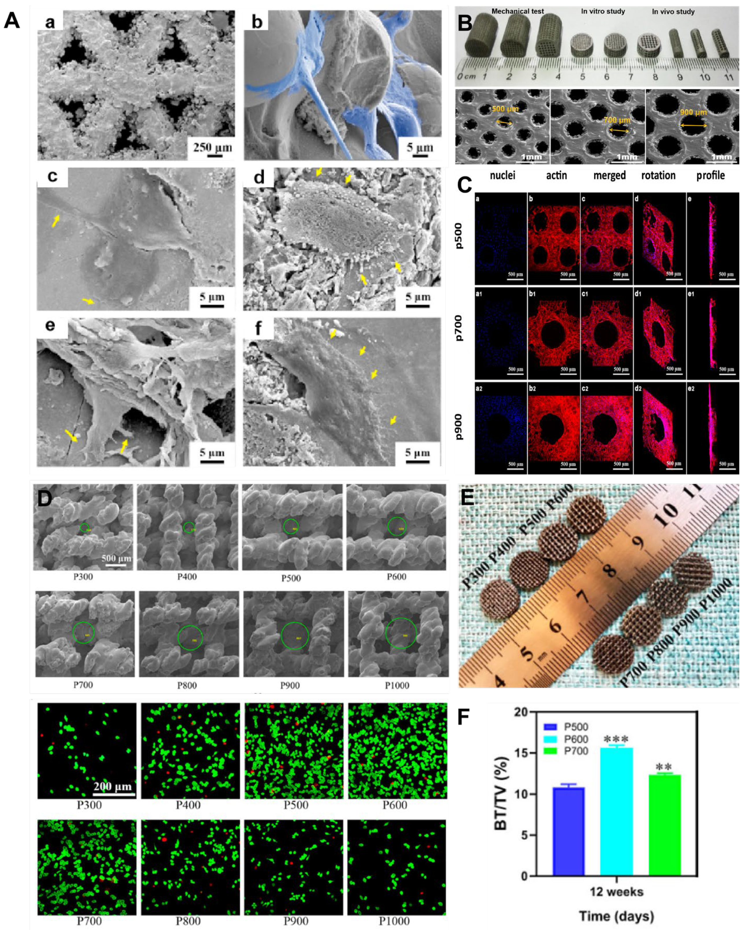 Coatings 14 00253 g004