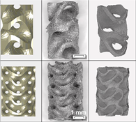 Coatings 14 00253 i005