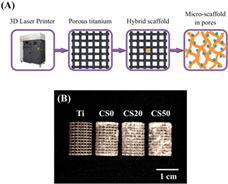 Coatings 14 00253 i010