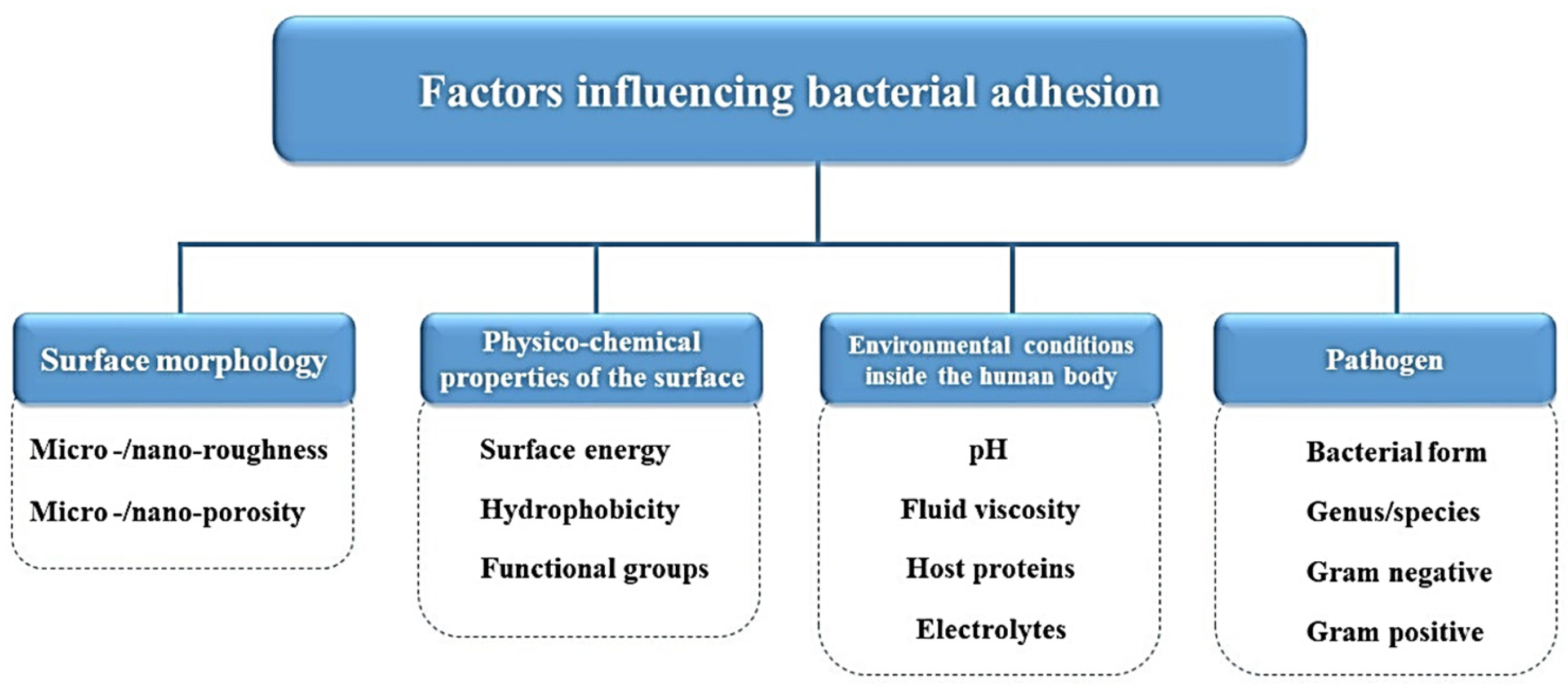 Coatings 14 00256 g002 Coatings 14 00256 g002