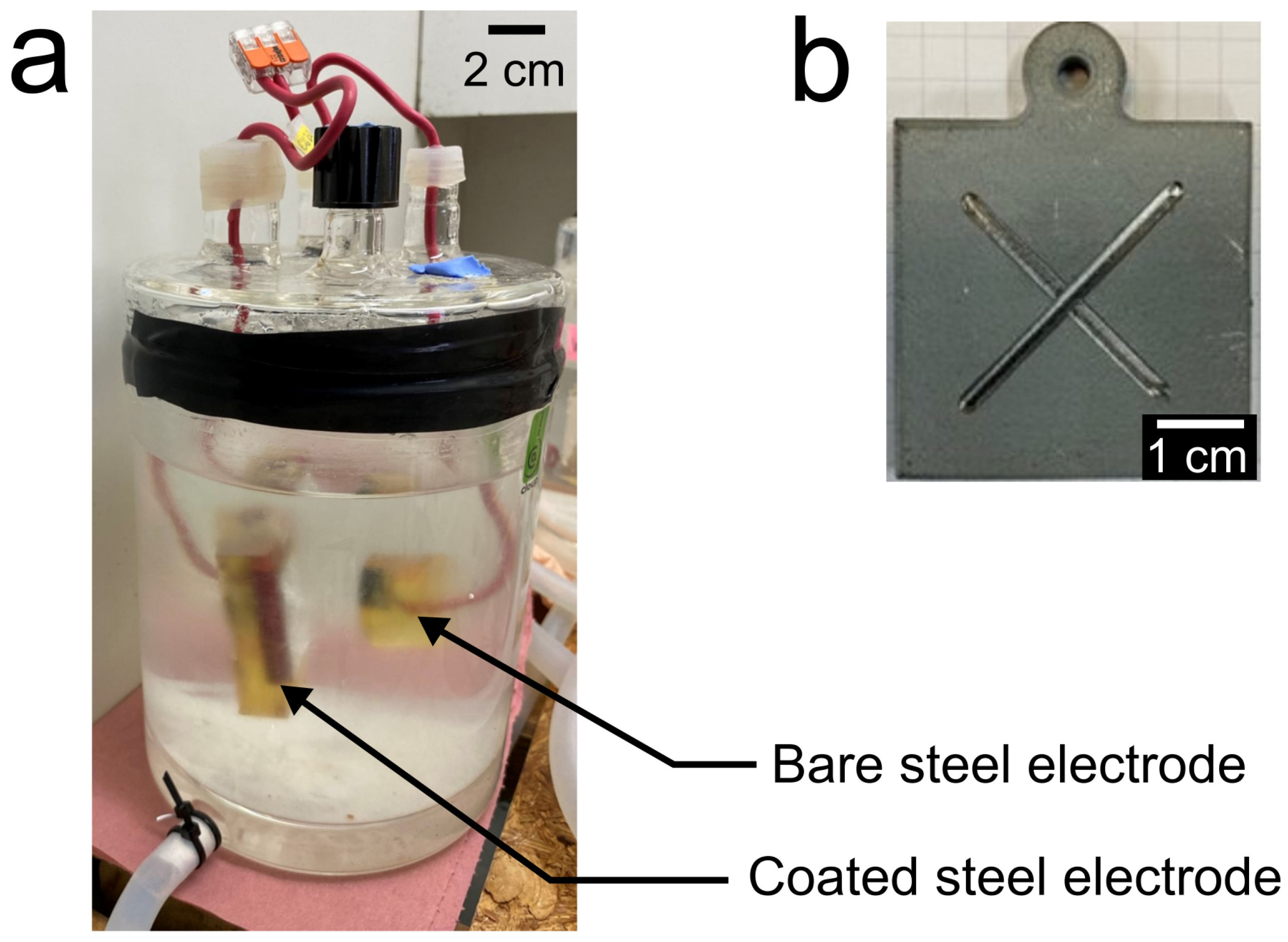 Coatings 14 00261 g001