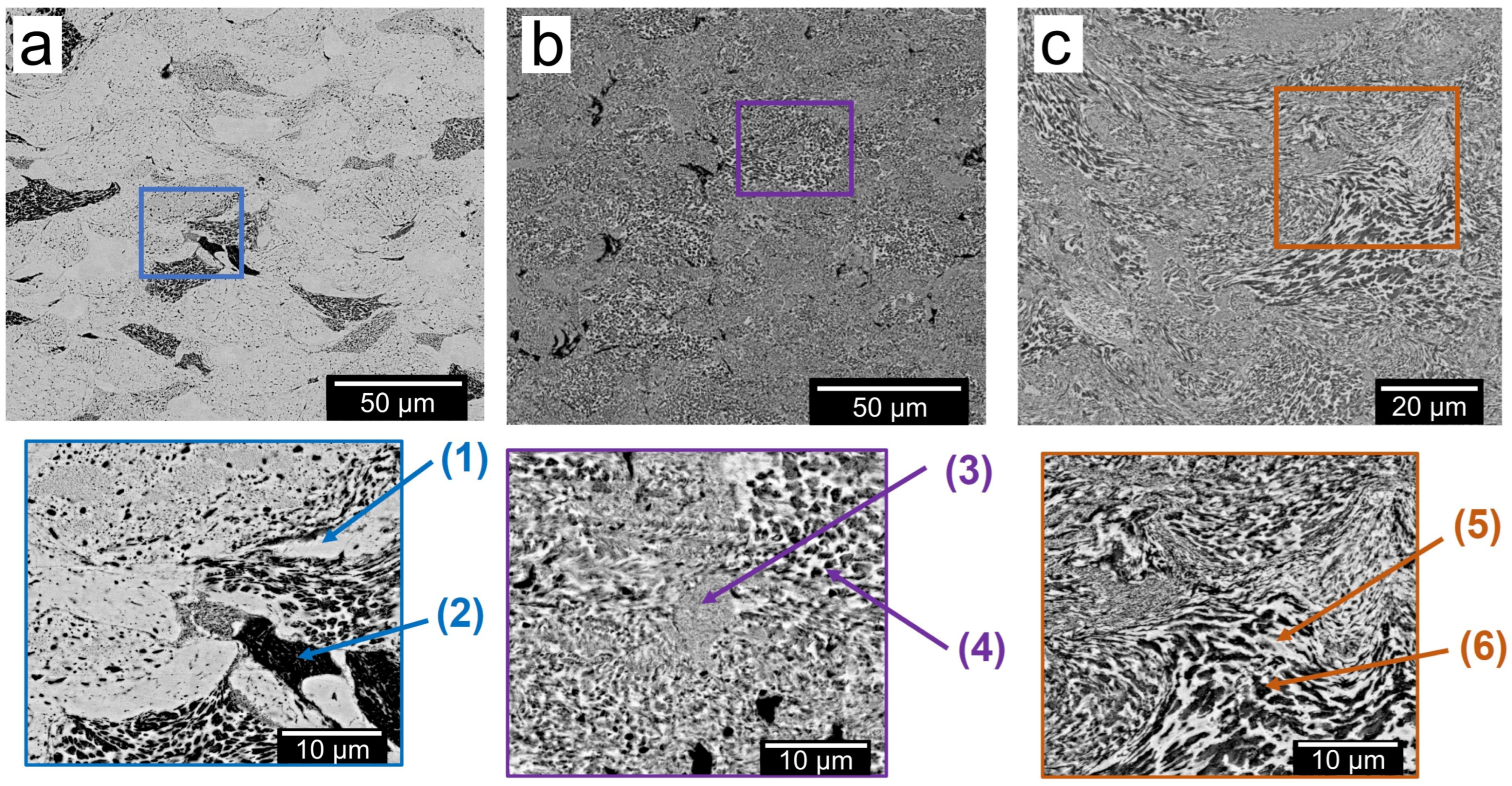 Coatings 14 00261 g003